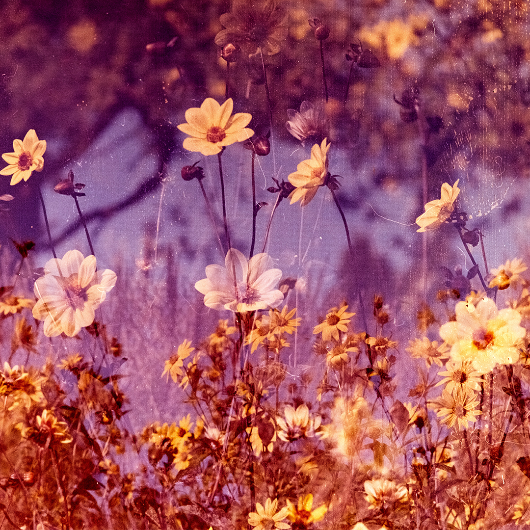 Self-Love. Mental Health.