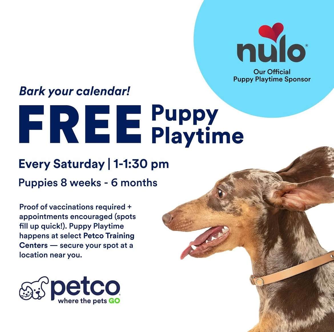 Did you know that @petco offers free Puppy Playtime every Saturday? Led by certified trainers, these in-store, 30-minute events for pups ages 8 weeks to 6 months provide a safe, indoor environment for socialization, building confidence, and learning 