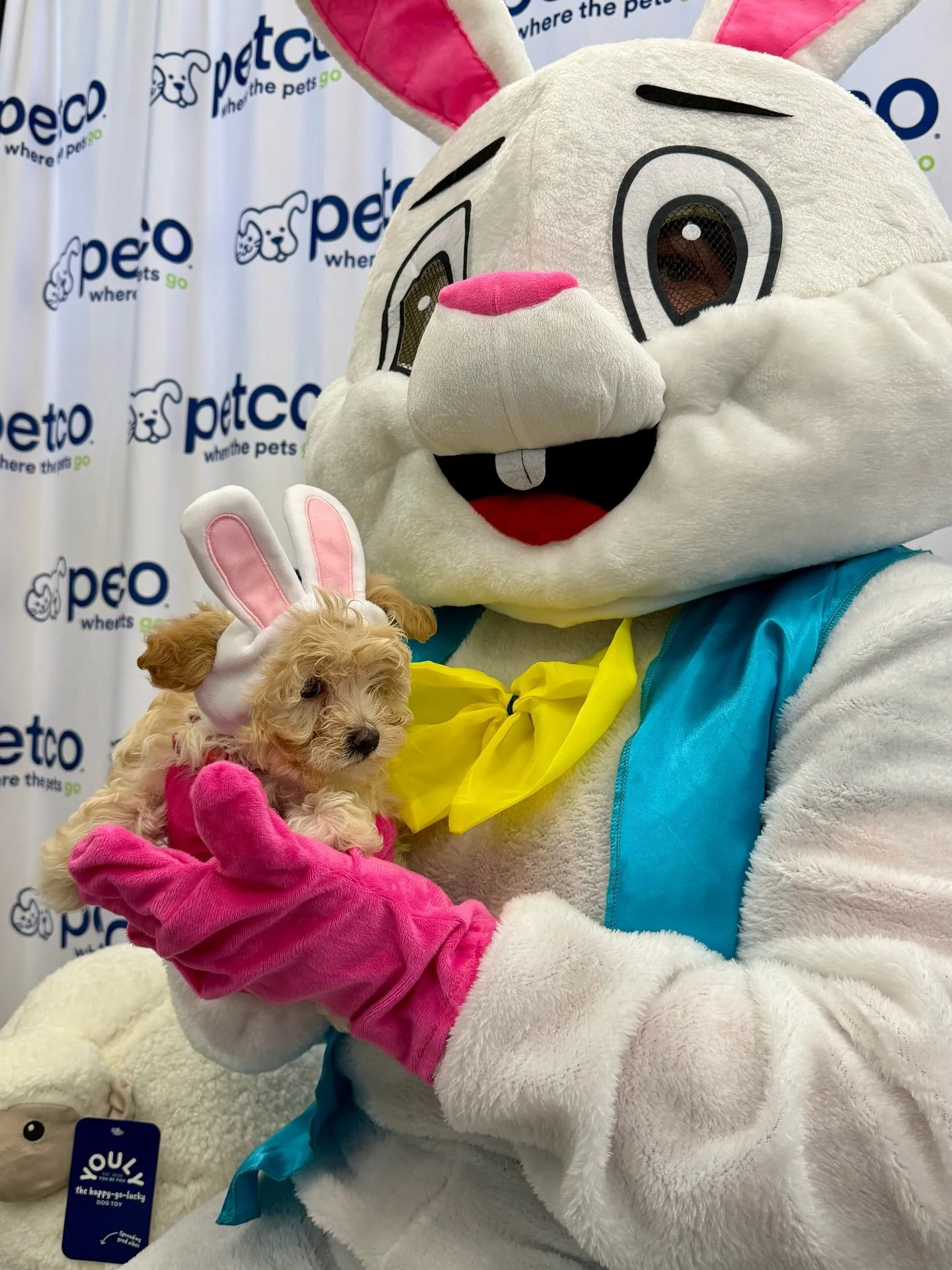 Join @petco this Saturday, 4/4 from 2&ndash;4 PM for Easter Bunny photos! Bring your furry family members for their moment with the bunny! 🐰📸🐶🐱💛