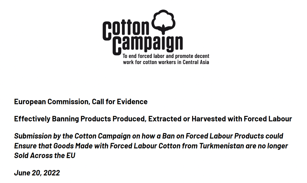 How a Ban on Forced Labour Products could Ensure that Goods Made with ...