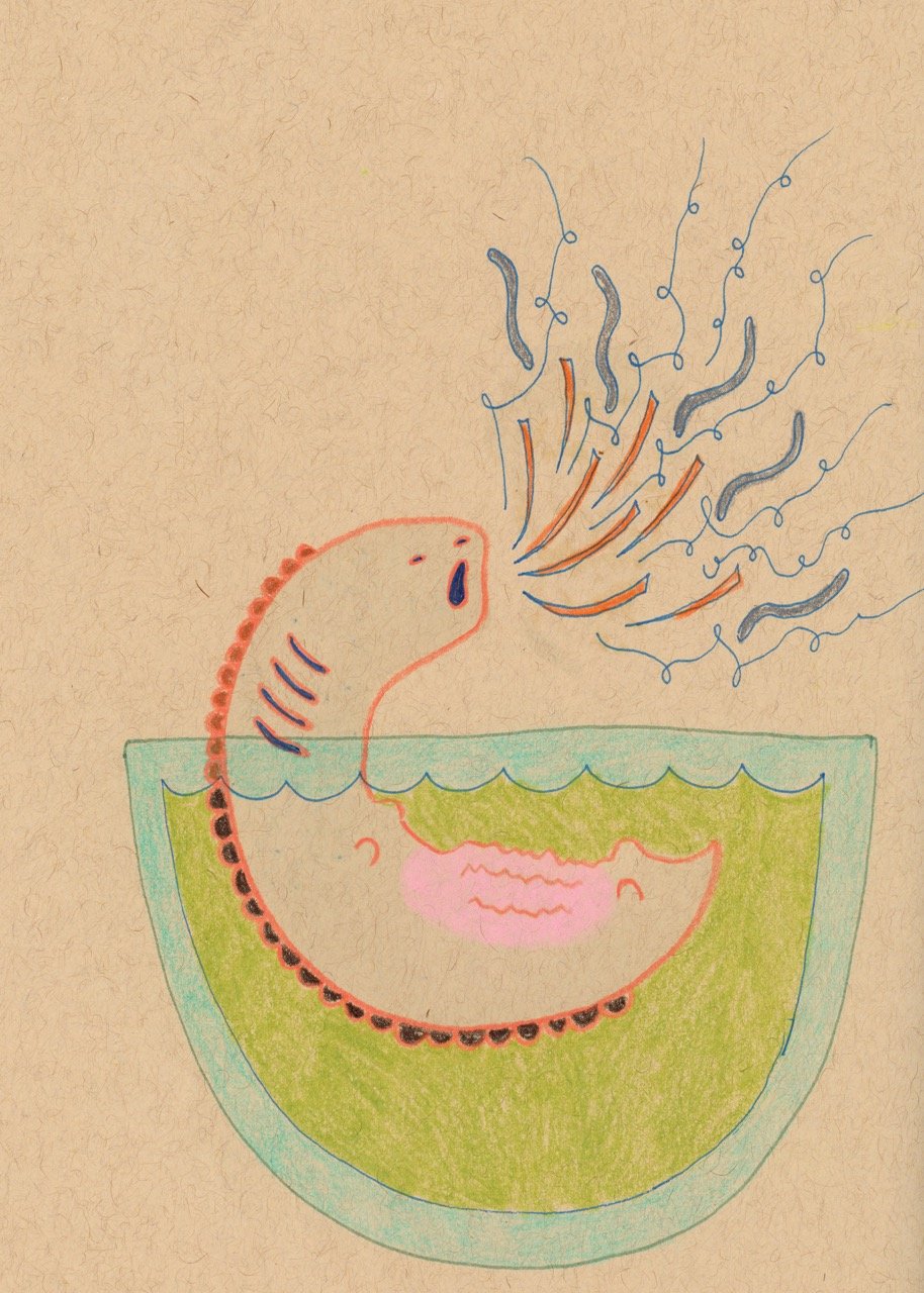 archive3.3.12.26 Large.jpeg