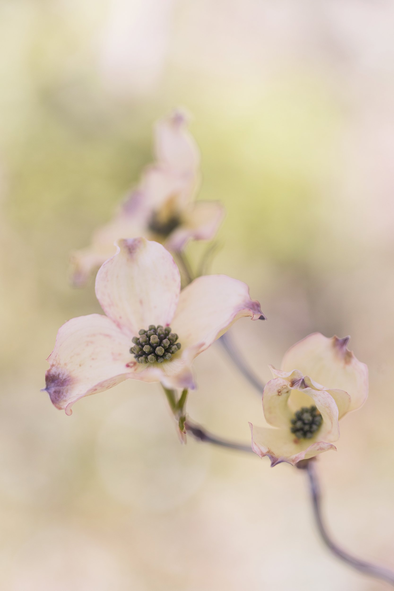 574A2108_edit.jpg