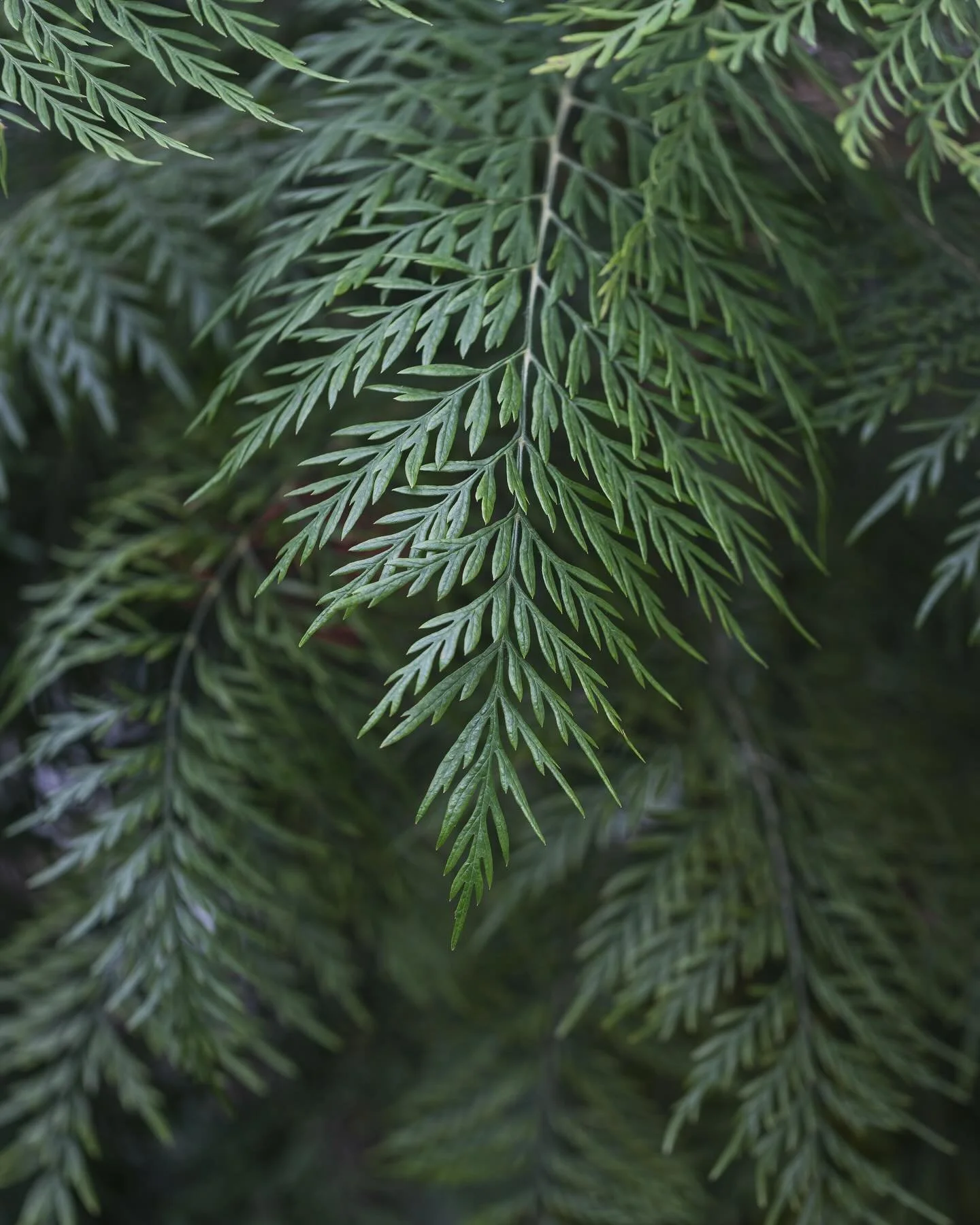 Hello June! May was amazing and jam packed, visiting Helsinki was the highlight 🇫🇮
I first visited 20 years ago when I did my uni dissertation on Alvar Aalto and mid-century Finnish design. This time I think I fell even more in love with the archit