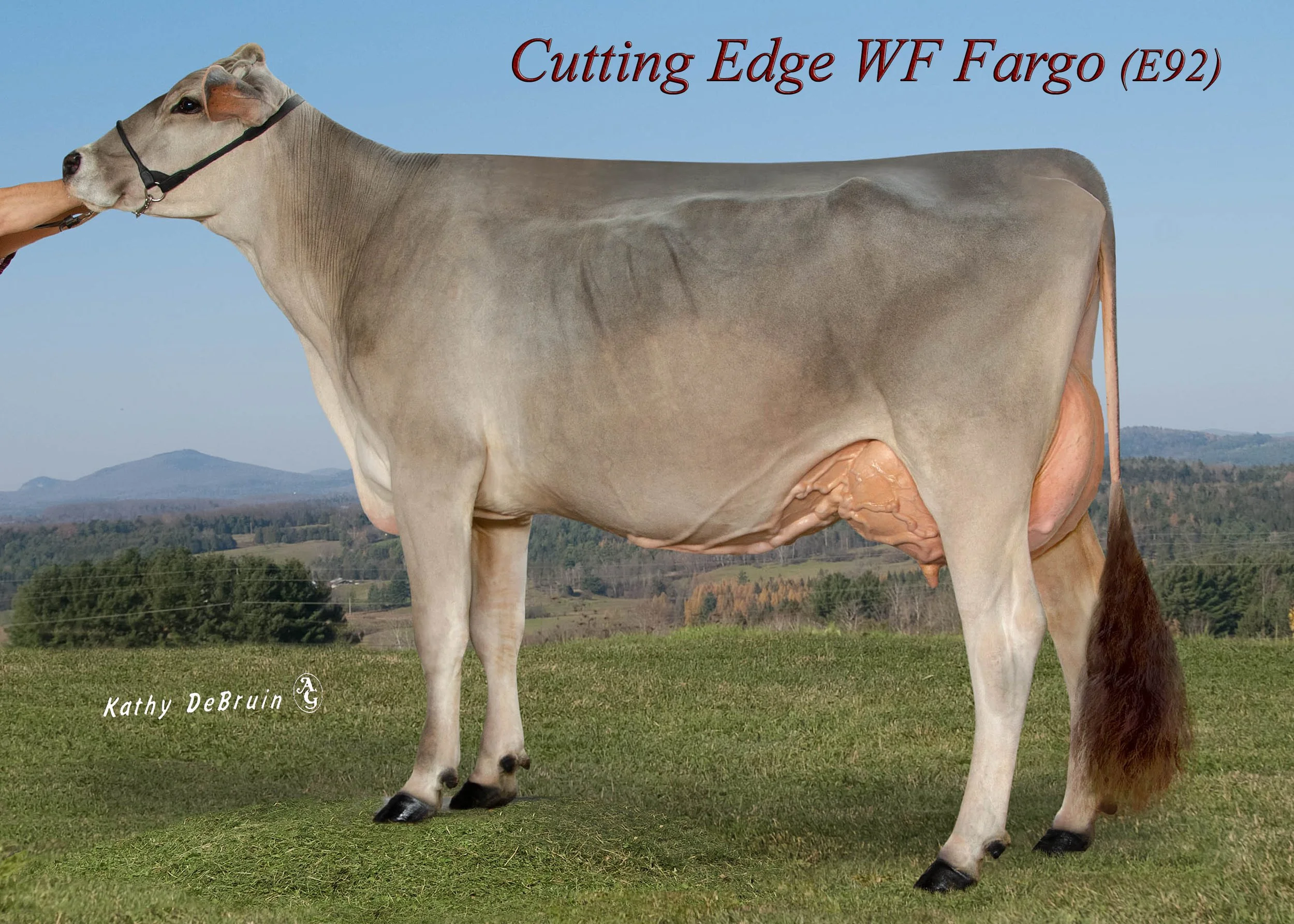 Fargo — Just So Farm