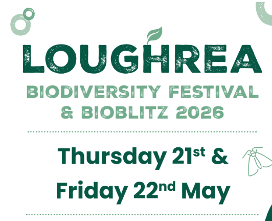 Loughrea Biodiversity Festival and Bioblitz 2026