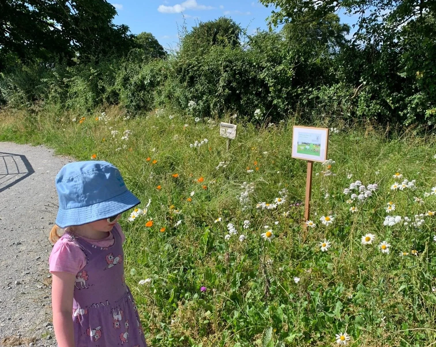 LEADER Programme — Galway Rural Development