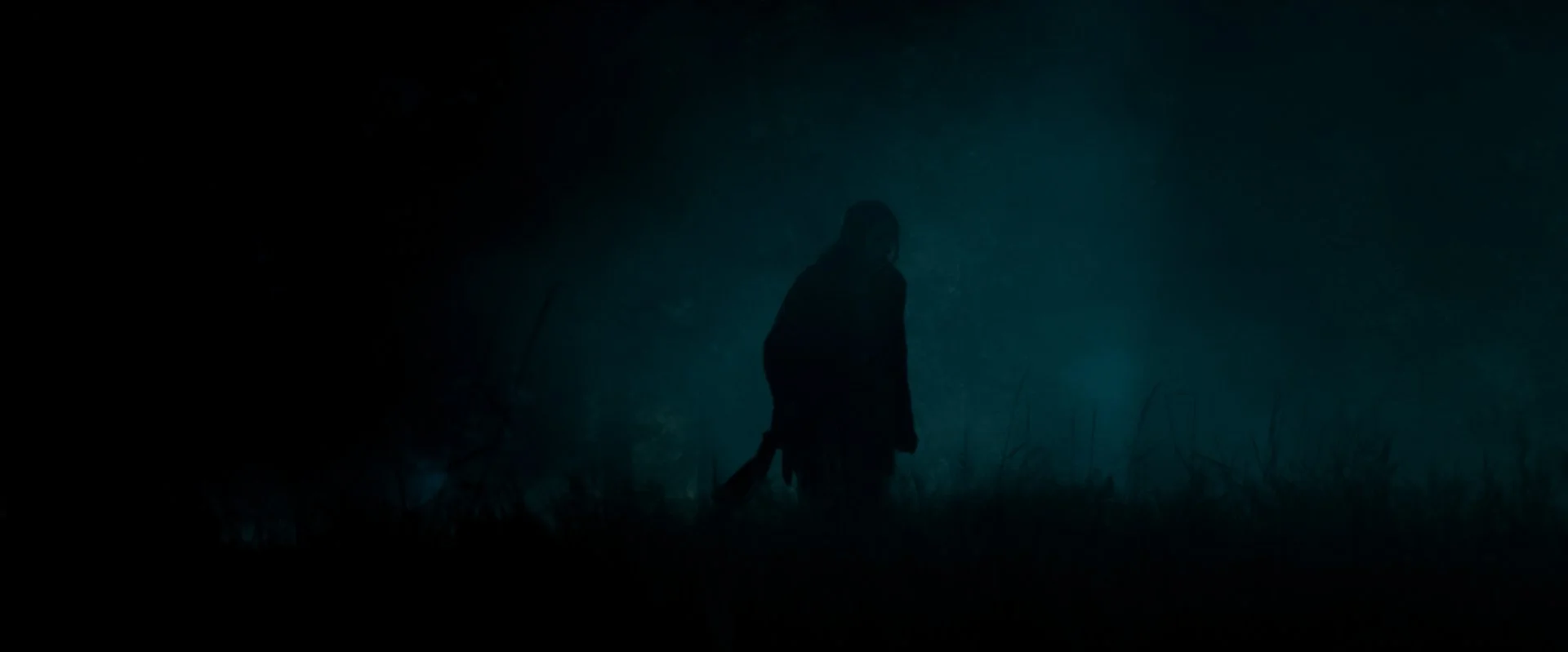 Fog 1-2.jpg
