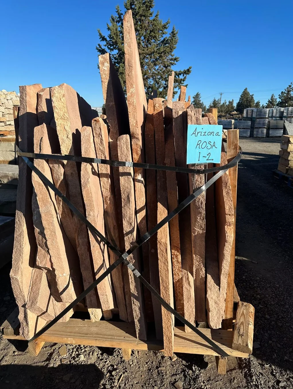 1-2" Arizona Rosa