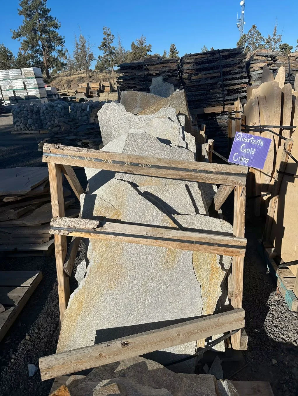 Gold Quartzite CINCO