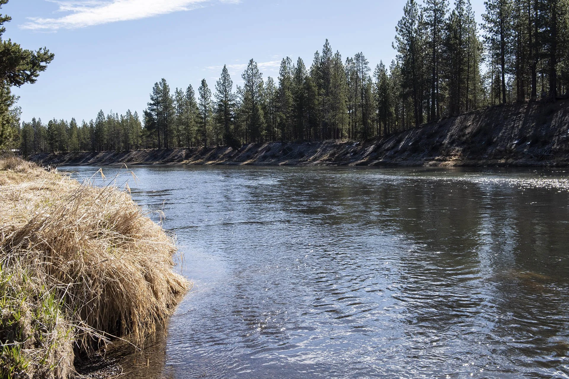 Scandinavian-inspired Modern Log Home Remodel. Life Design Build, Architects. Bend, Oregon.
