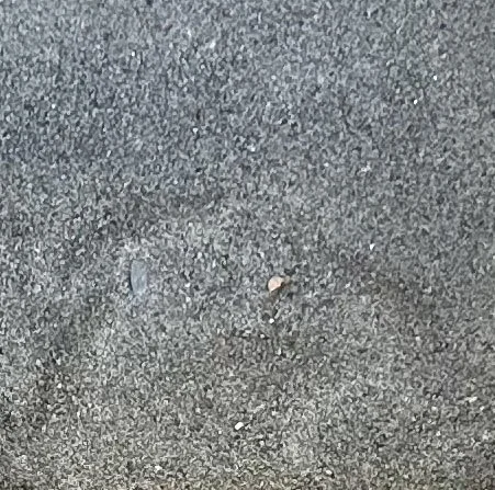 Masons Sand
