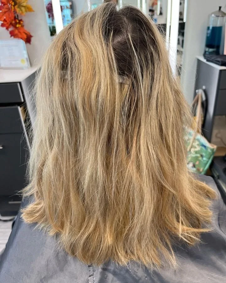 Bellami tape-in back by Gina before.jpg