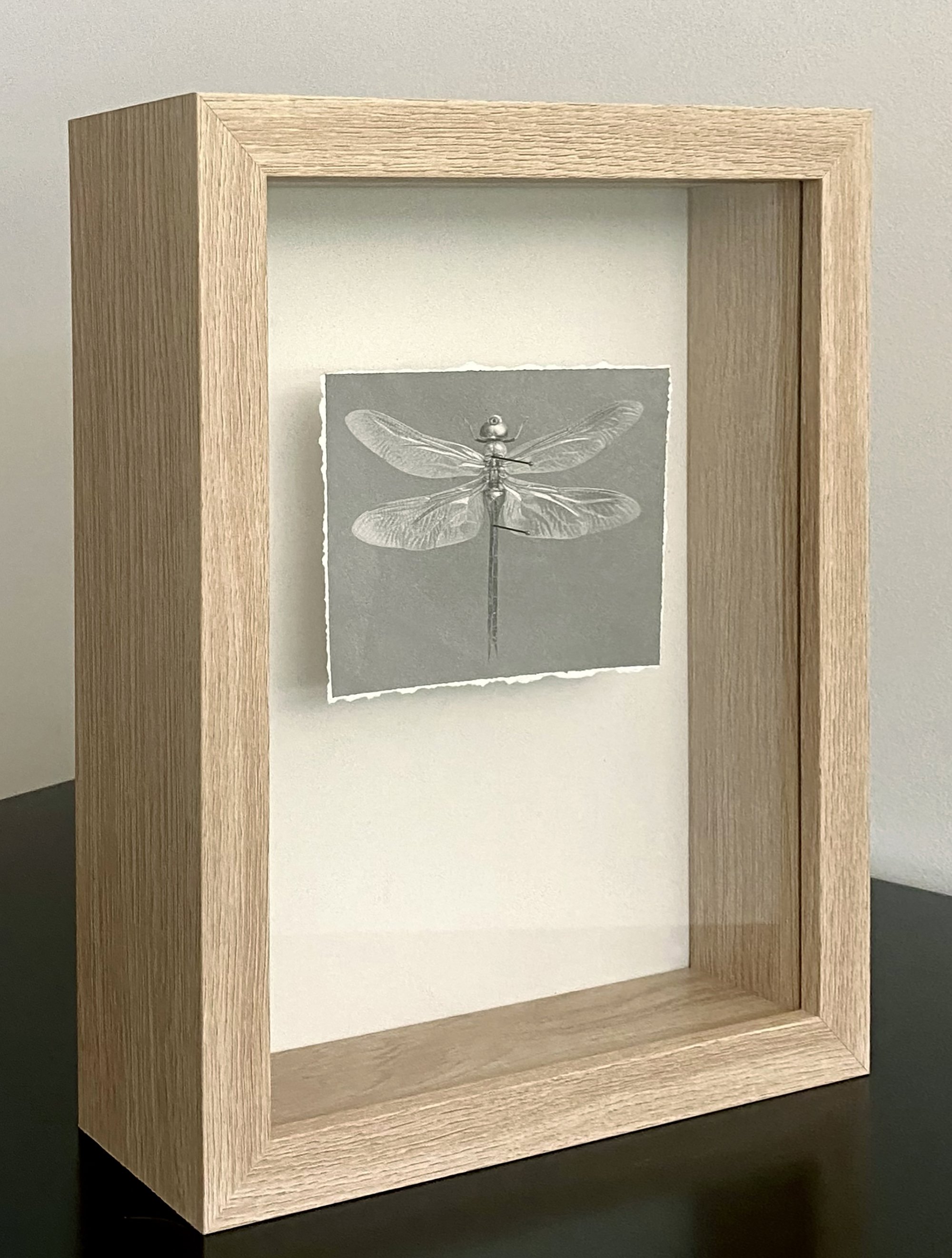 dragonfly framed.jpg