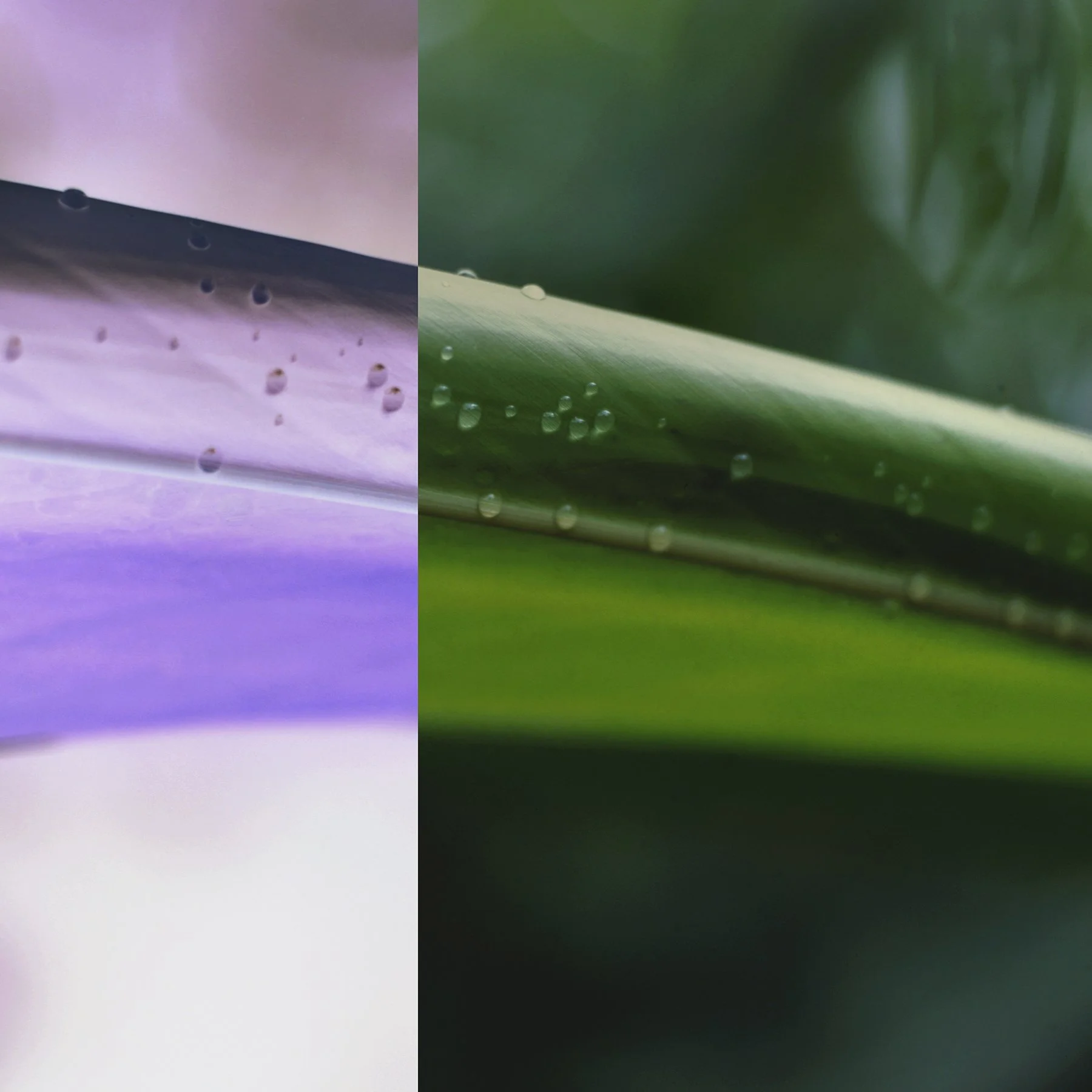 untitled 56