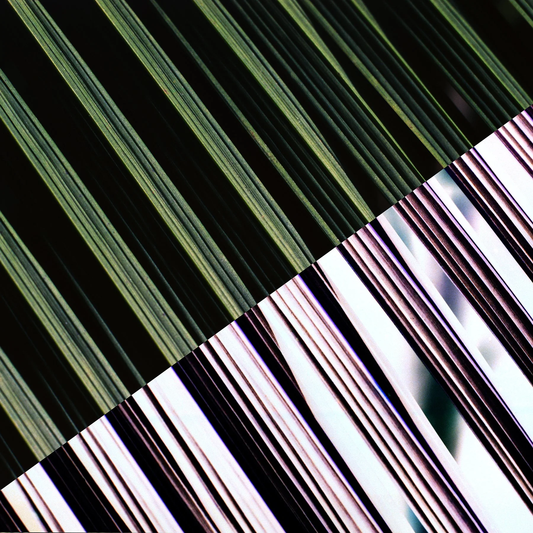 untitled 65