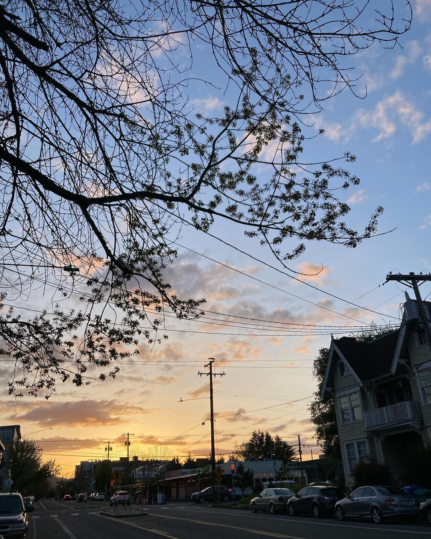 A good night with a good friend. Not too shabby, Portland! 💕🌙🌸