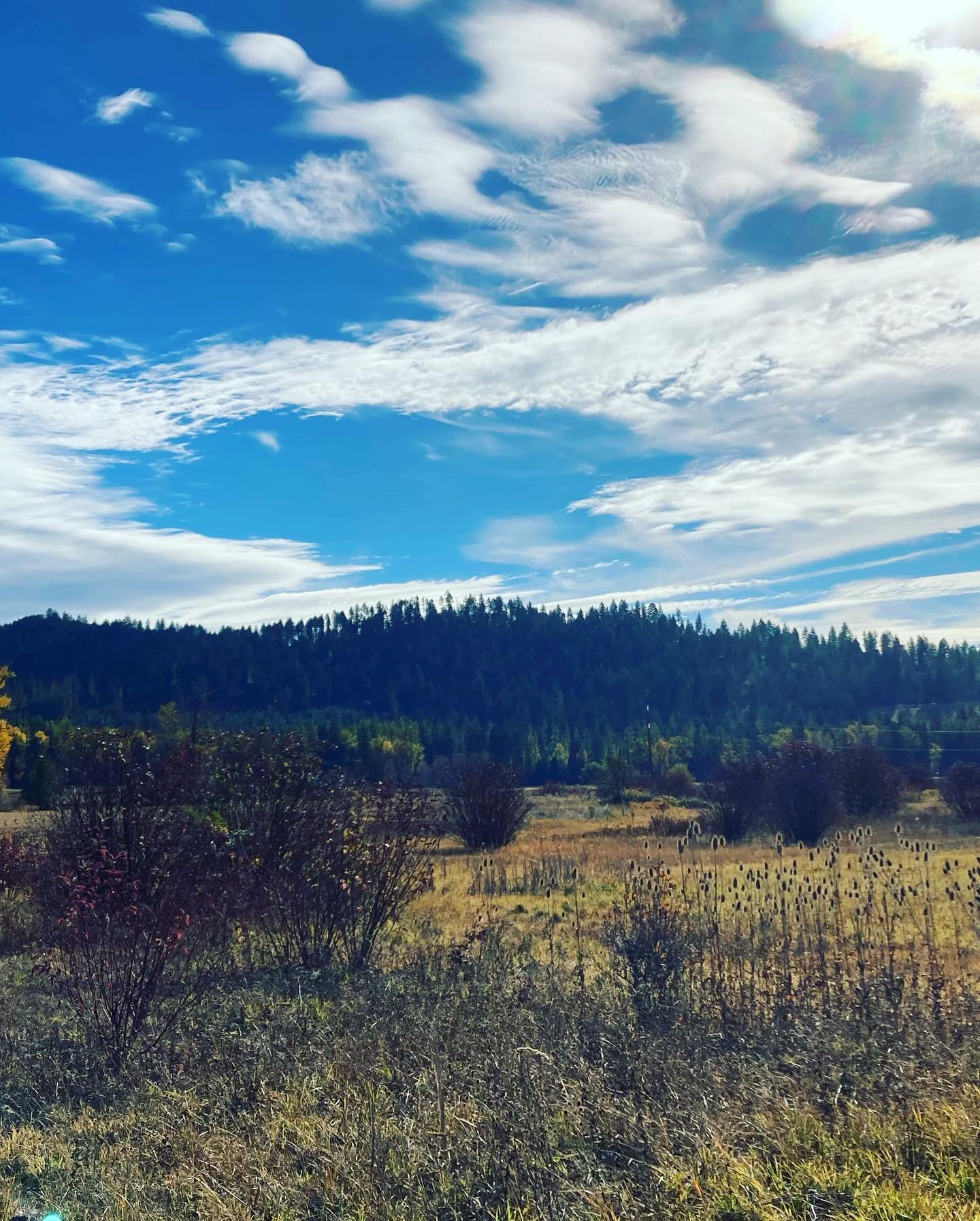 Eastern Washington, I love you! And my dear friend Sara and her family. Quiet, big skies, wide open spaces, full heart. It reminded me of Texas in that way. A perfect getaway. Friend time is the best time! @saralouisesnyder 🤠💙🍁✈️