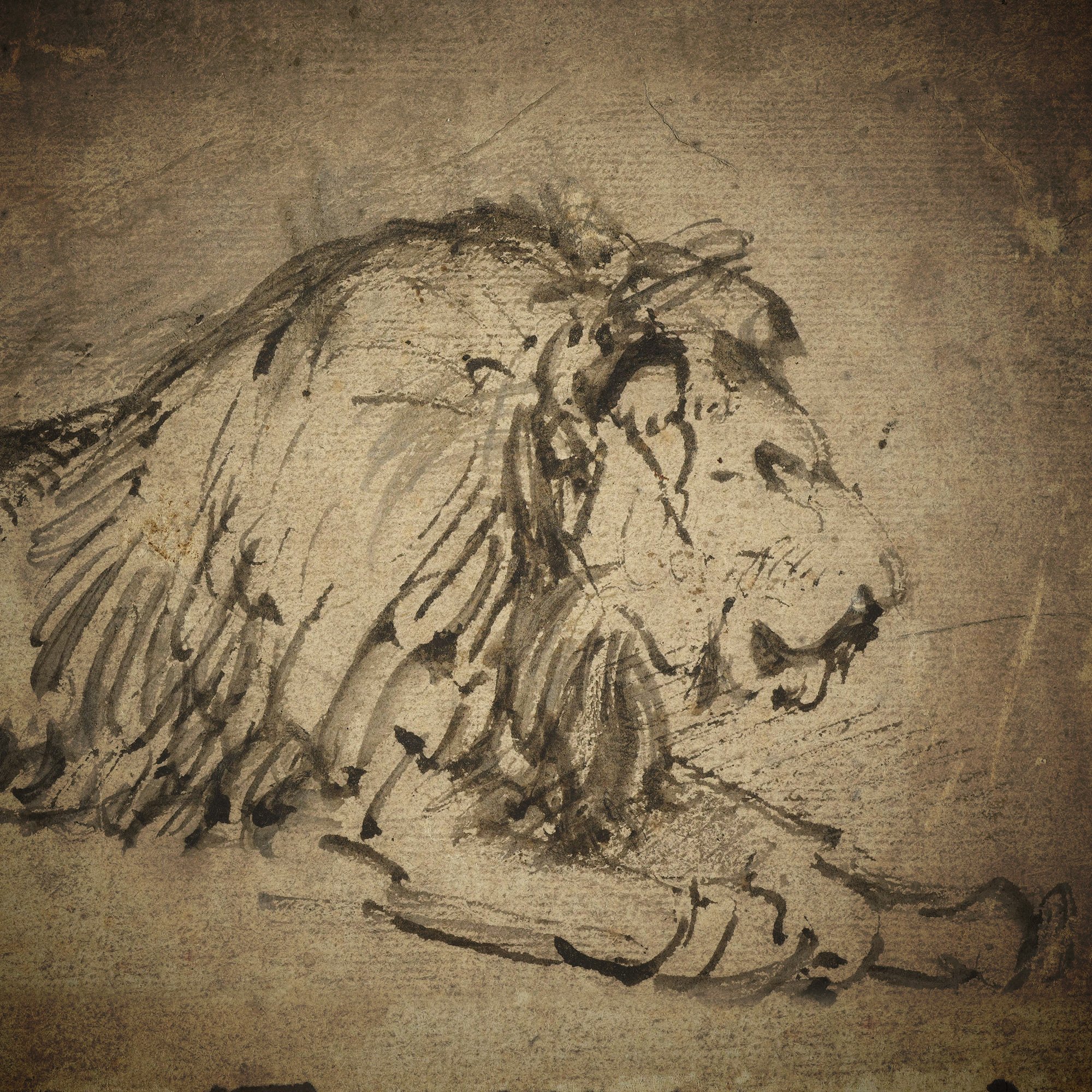 Prowling Lions