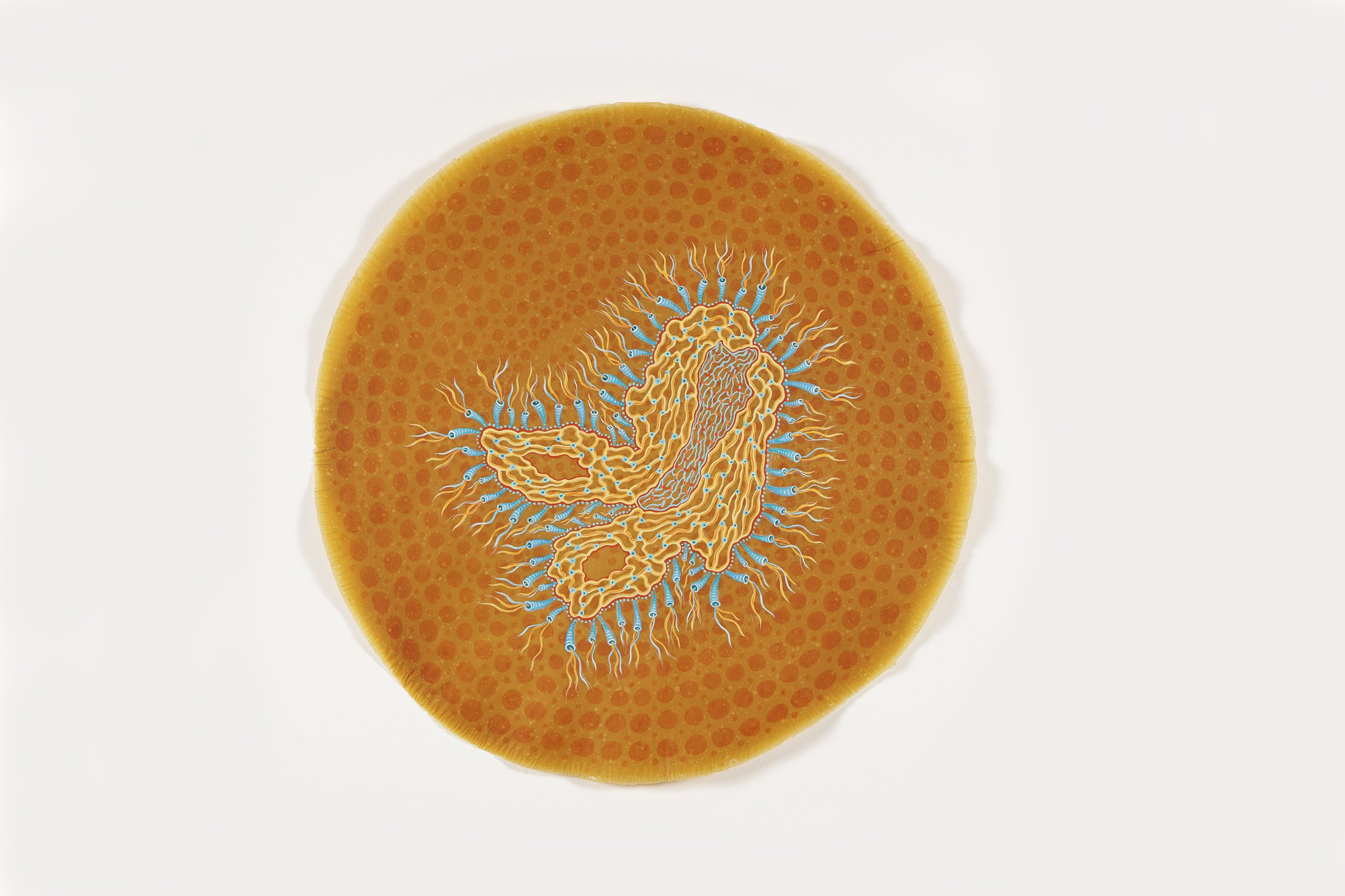 "Wired Eye VIII," 2026, Gouache on pigmented abaca fiber, 24 in / 61 cm DIA