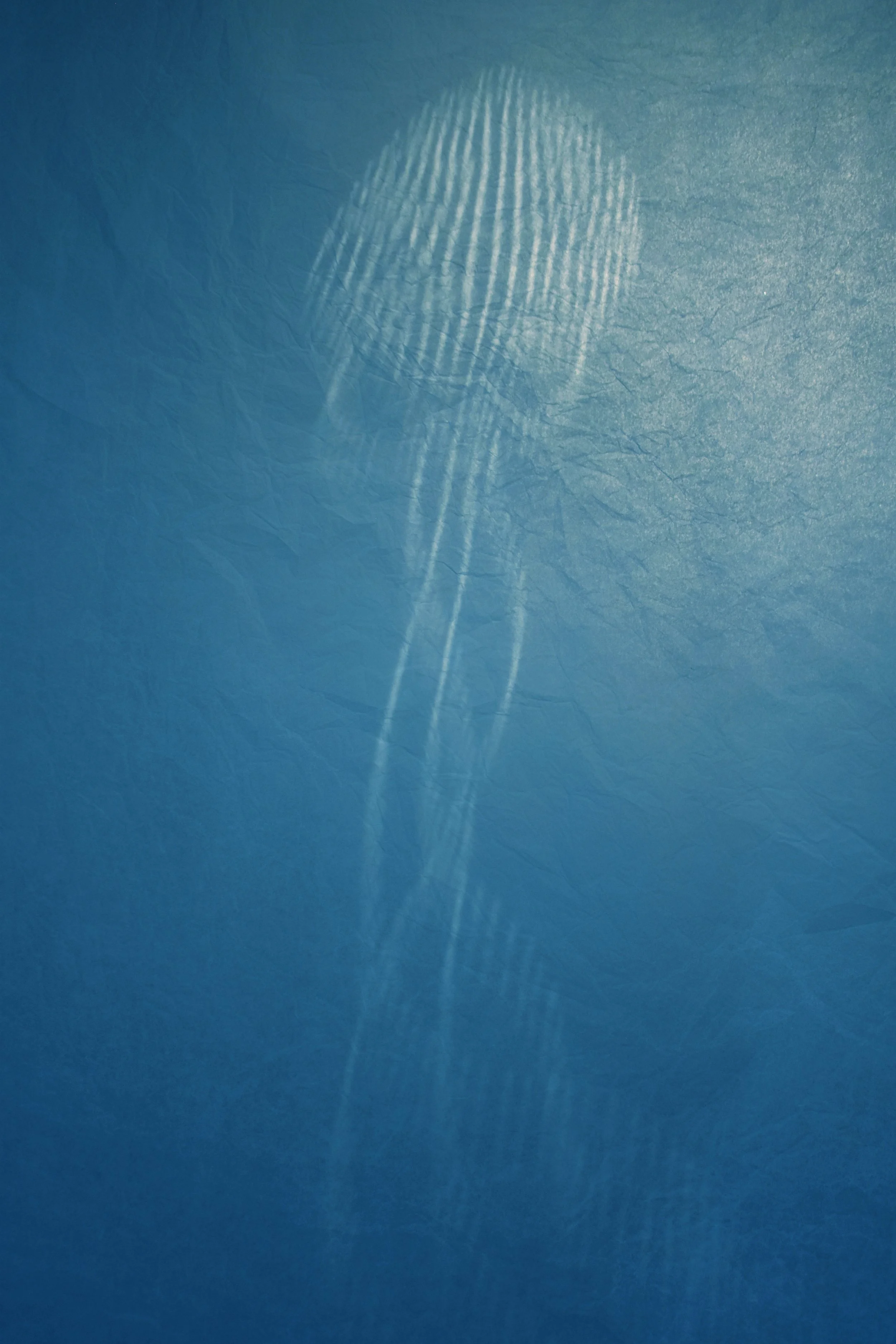 Drifter I, Archival pigment print, 2026, 20 x 13.5 in / 51 x 34 cm
