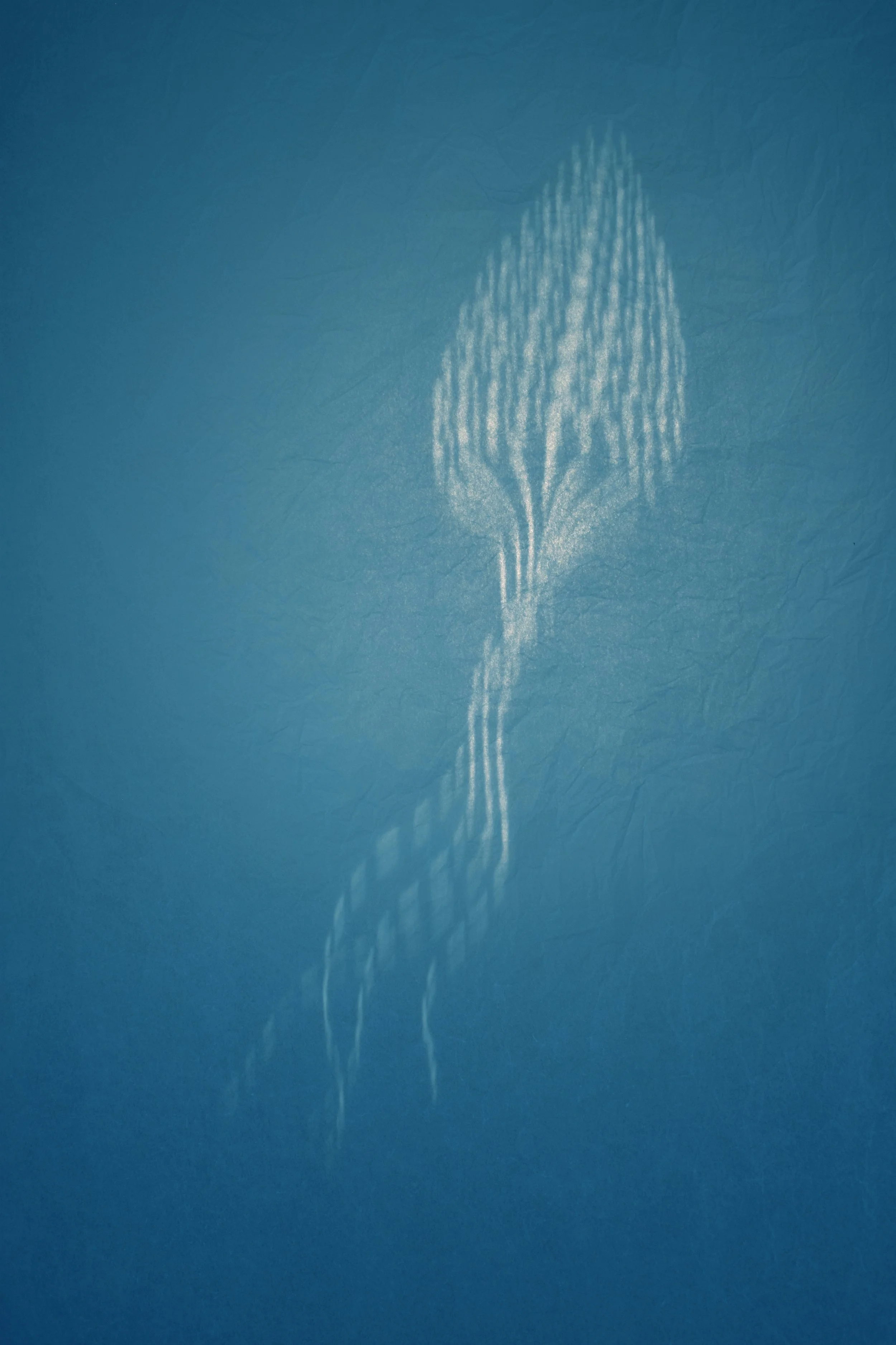Drifter VII, Archival pigment print, 2026, 20 x 13.5 in / 51 x 34 cm