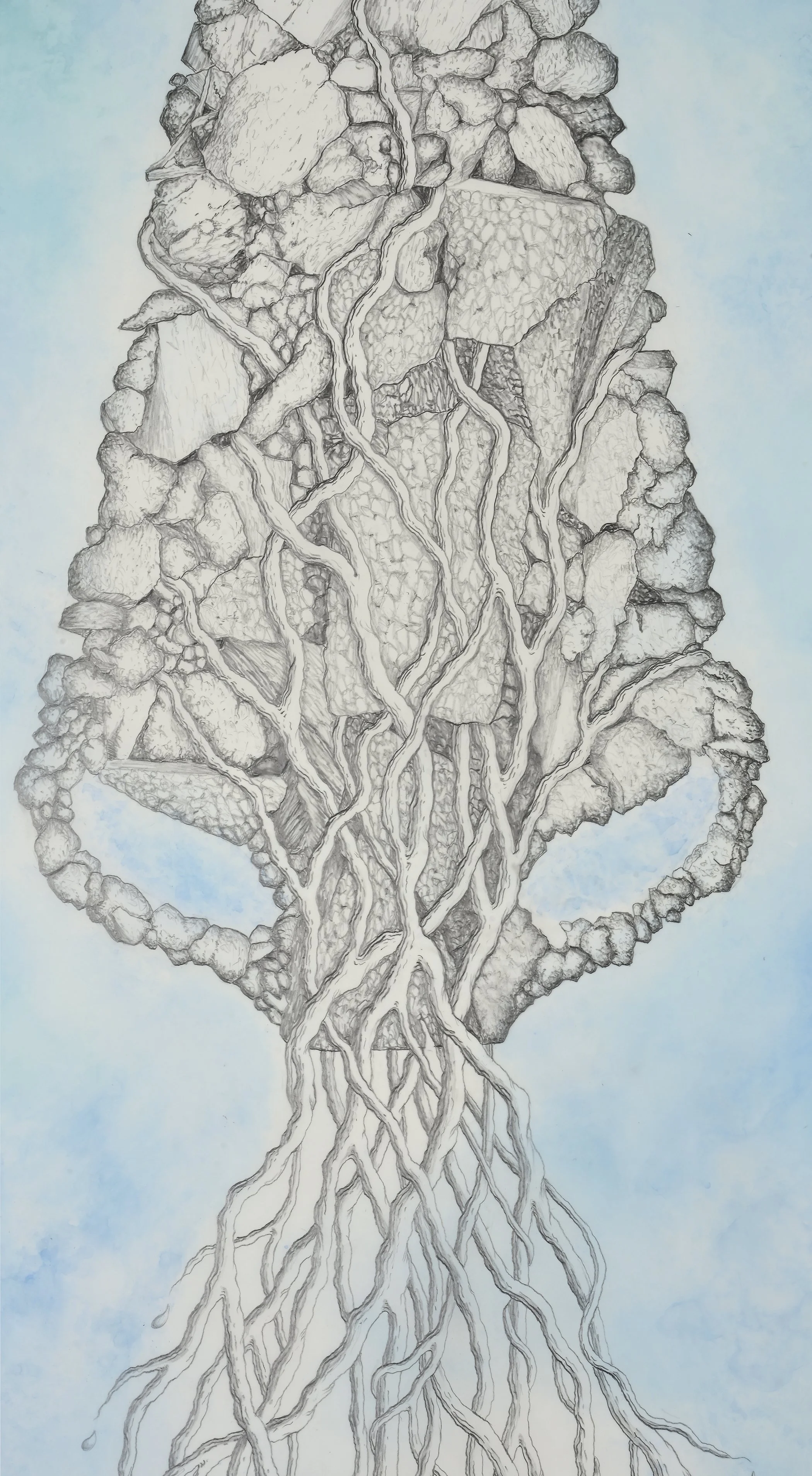 "Withholding Water III," (detail) 2024 Graphite, pigment on drafting film
84 x 36 in / 213 x 91 cm