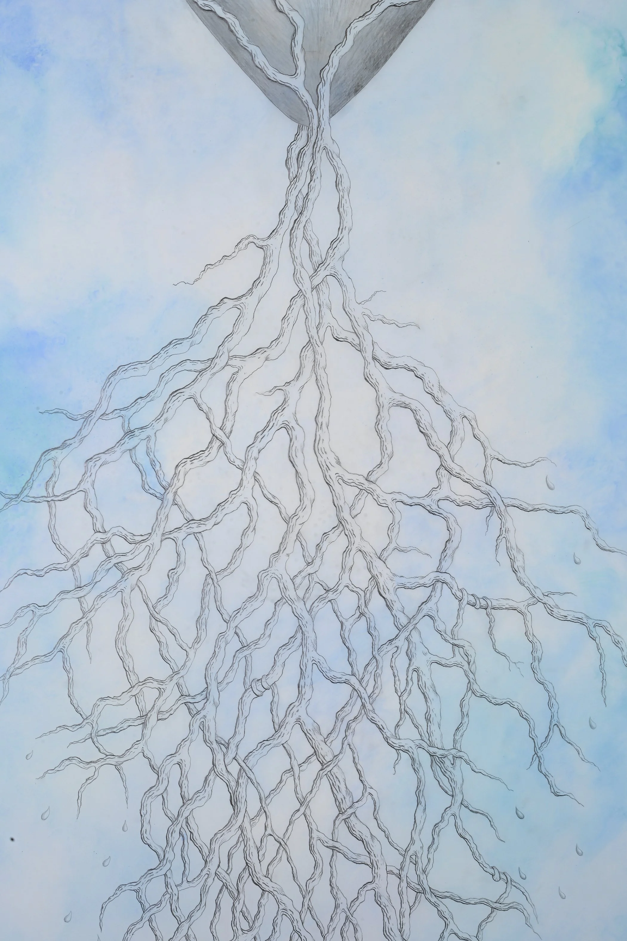 "Withholding Water I," (detail) 2024 Graphite, pigment on drafting film
84 x 36 in / 213 x 91 cm 