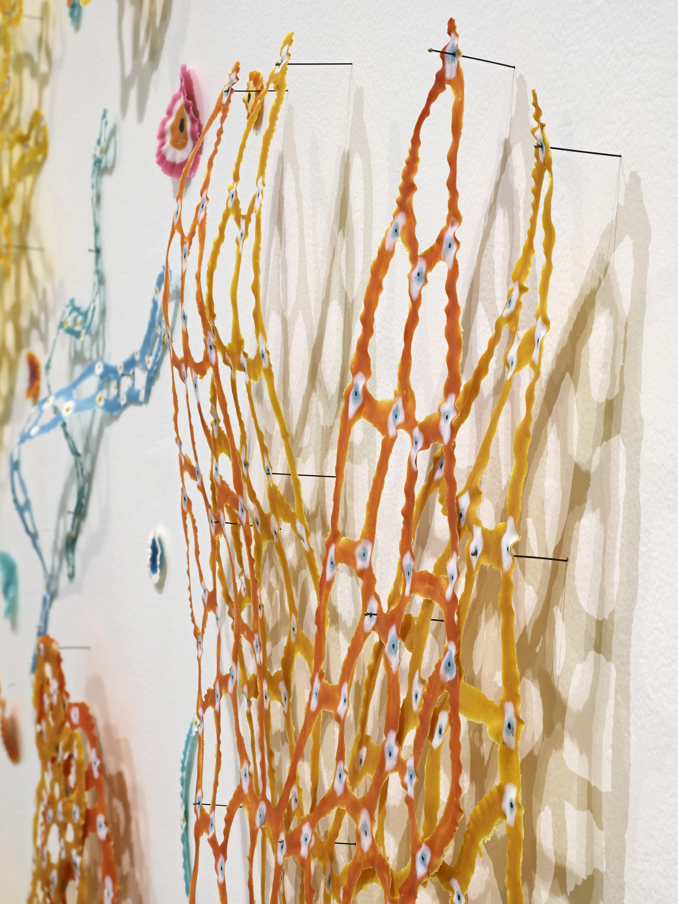Milk and Honey: Witness (detail)
2026
Pigmented abaca, specimen pins
120” x 240” x 4”