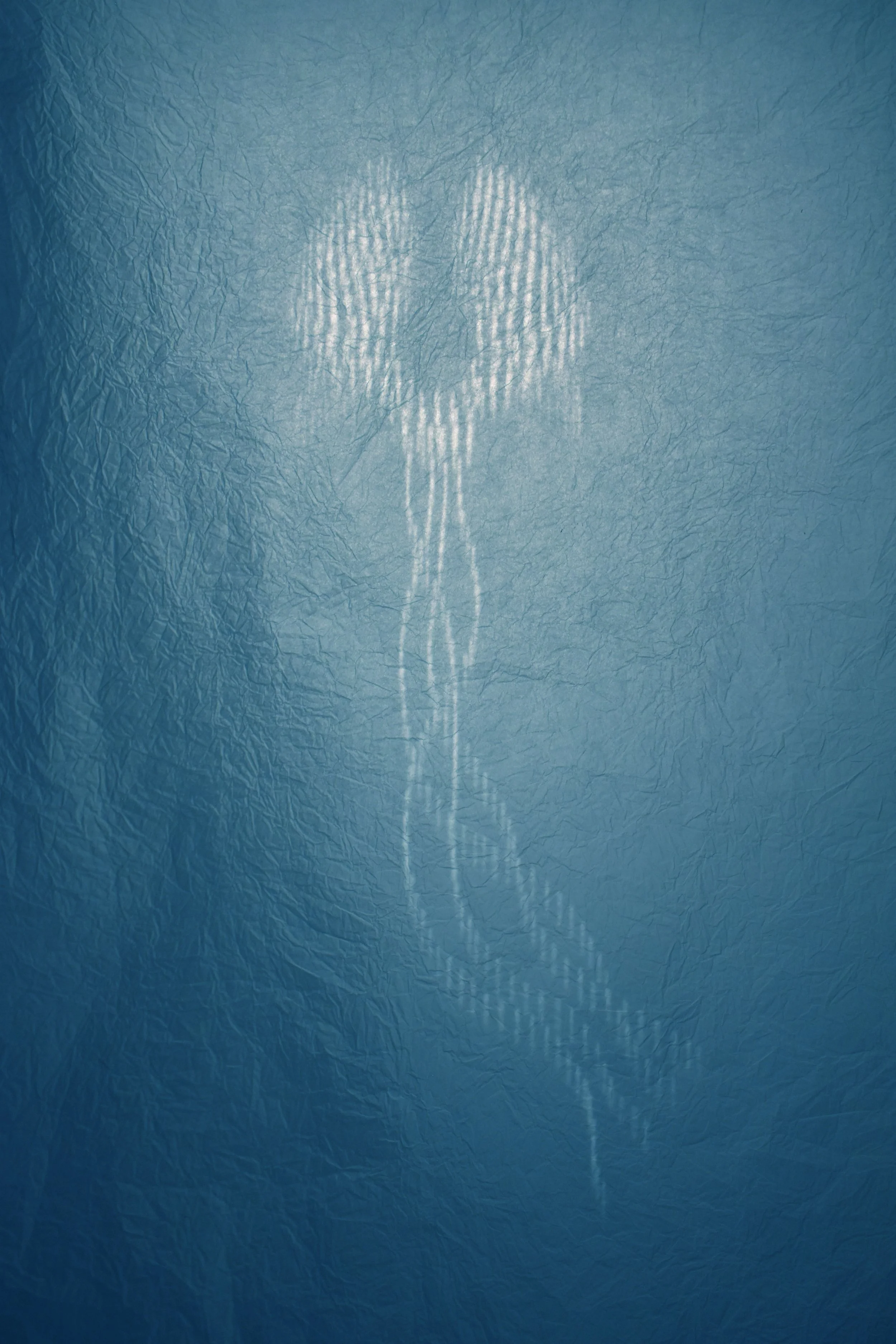 Drifter X, Archival pigment print, 2026, 20 x 13.5 in / 51 x 34 cm