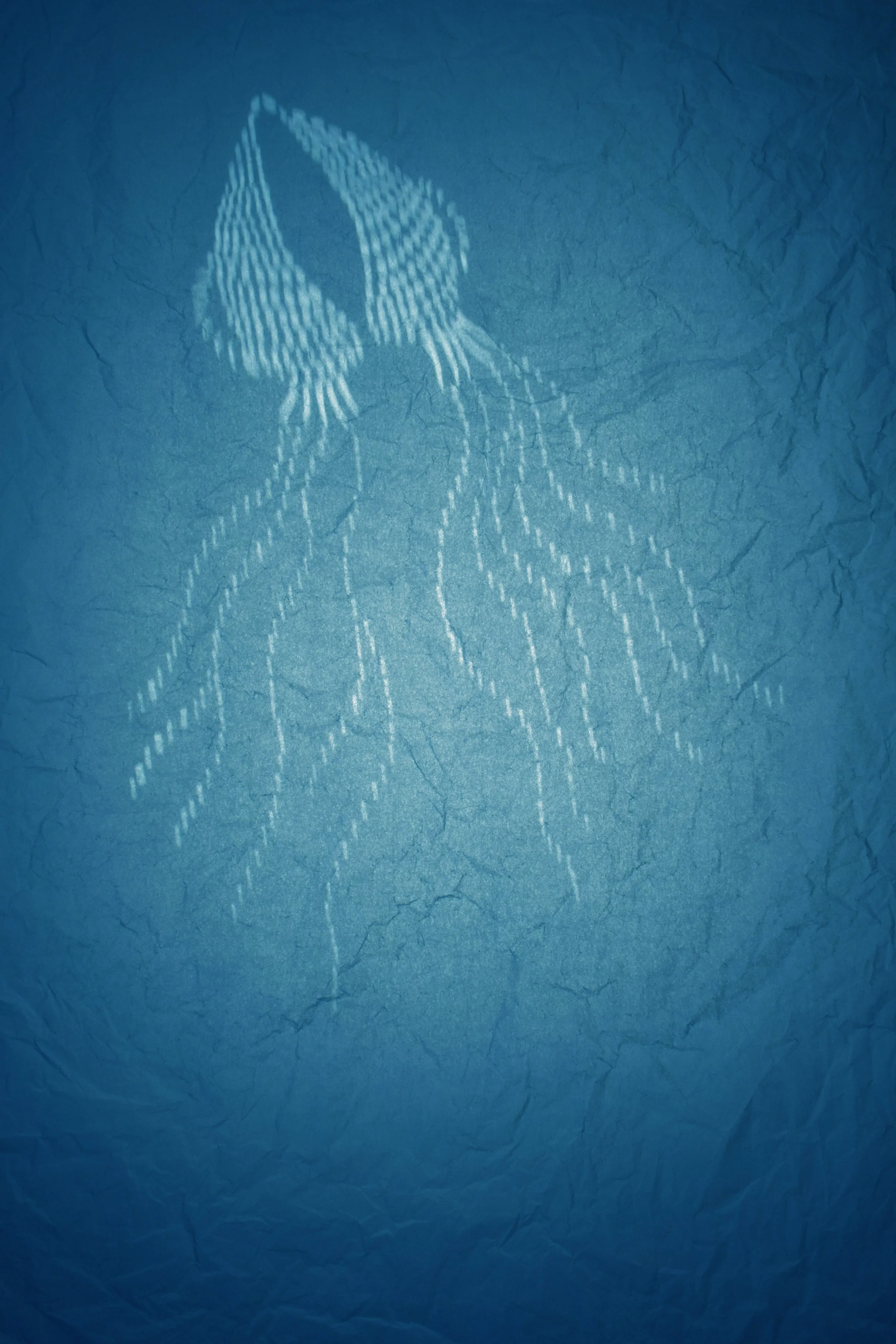 Drifter IX, Archival pigment print, 2026, 20 x 13.5 in / 51 x 34 cm