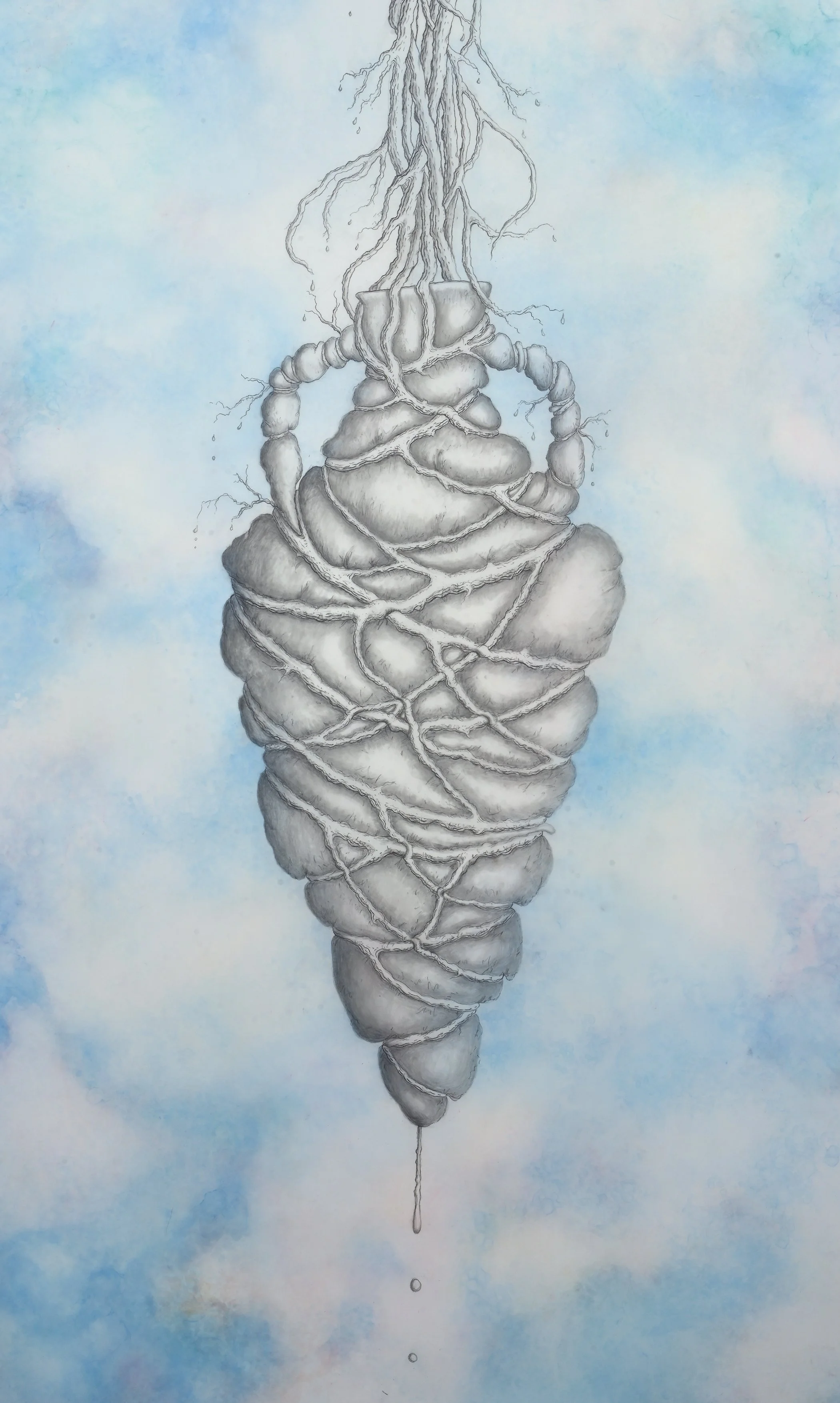 "Withholding Water II," (detail) 2024 Graphite, pigment on drafting film
84 x 36 in / 213 x 91 cm