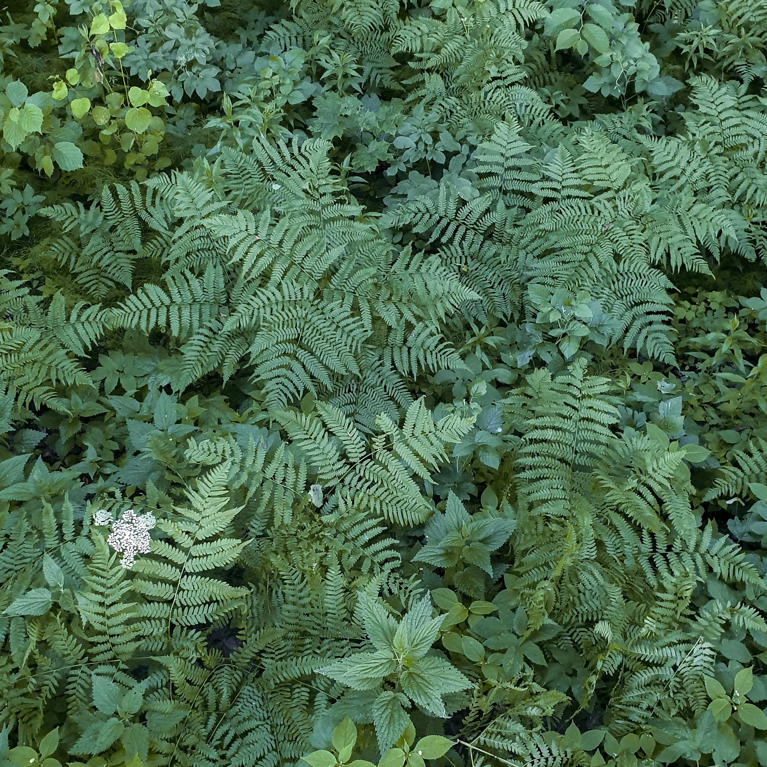 bonethica-method-stimulating-environments.jpg
