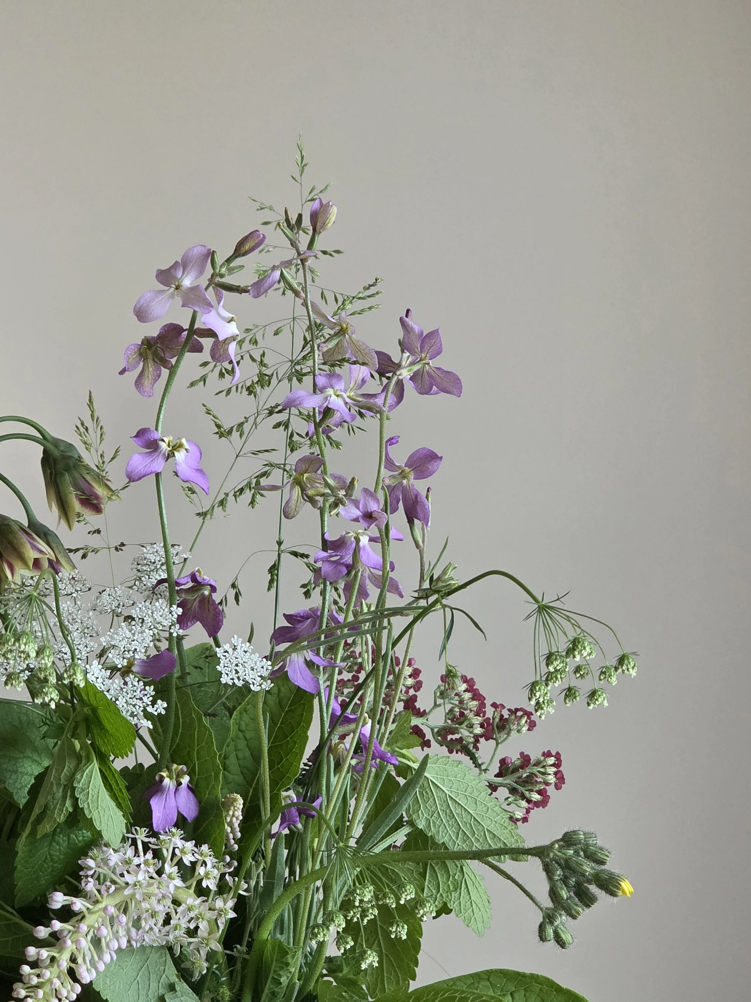 wild blooming flower bouquet