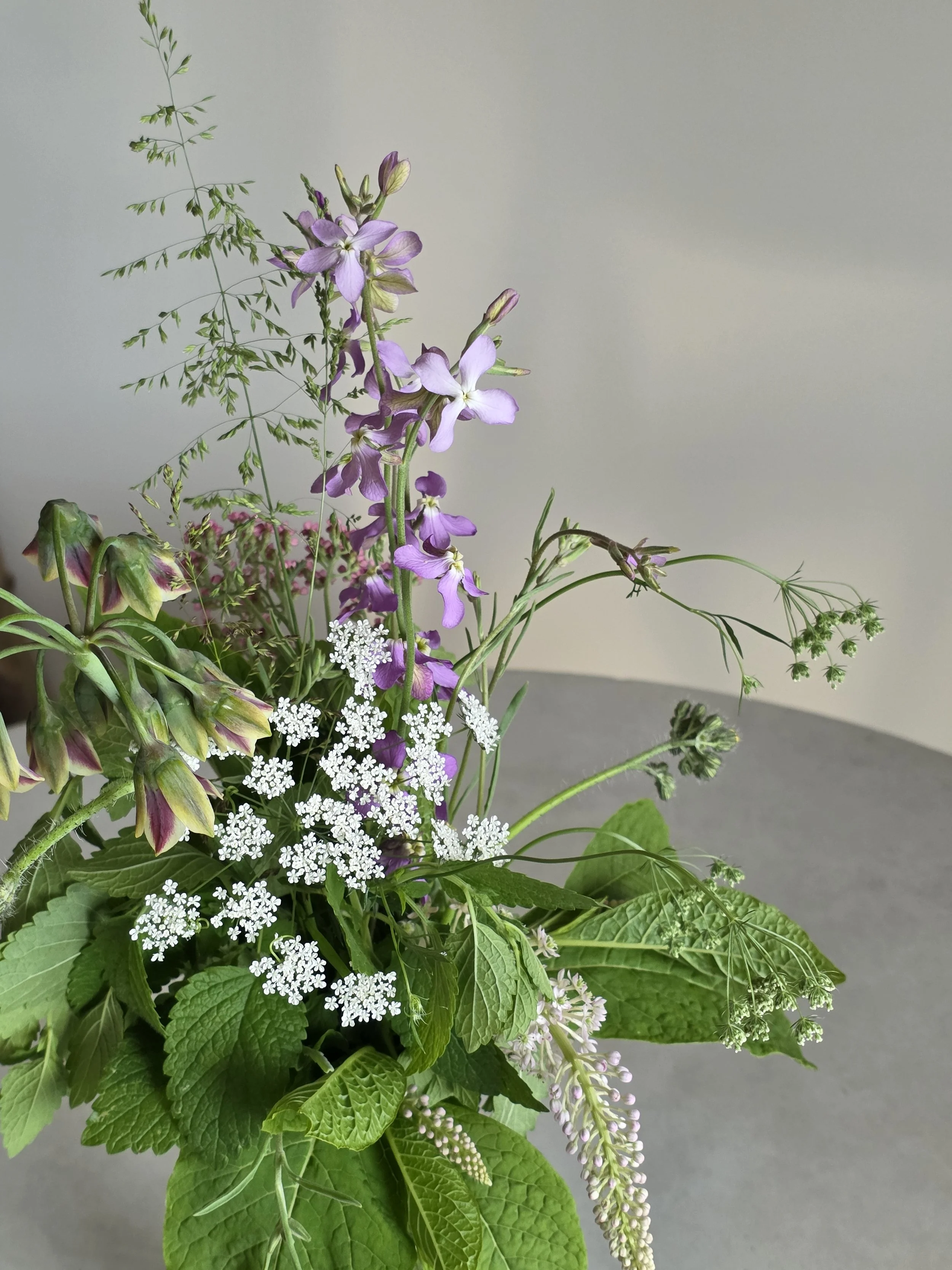 wild blooming flower bouquet