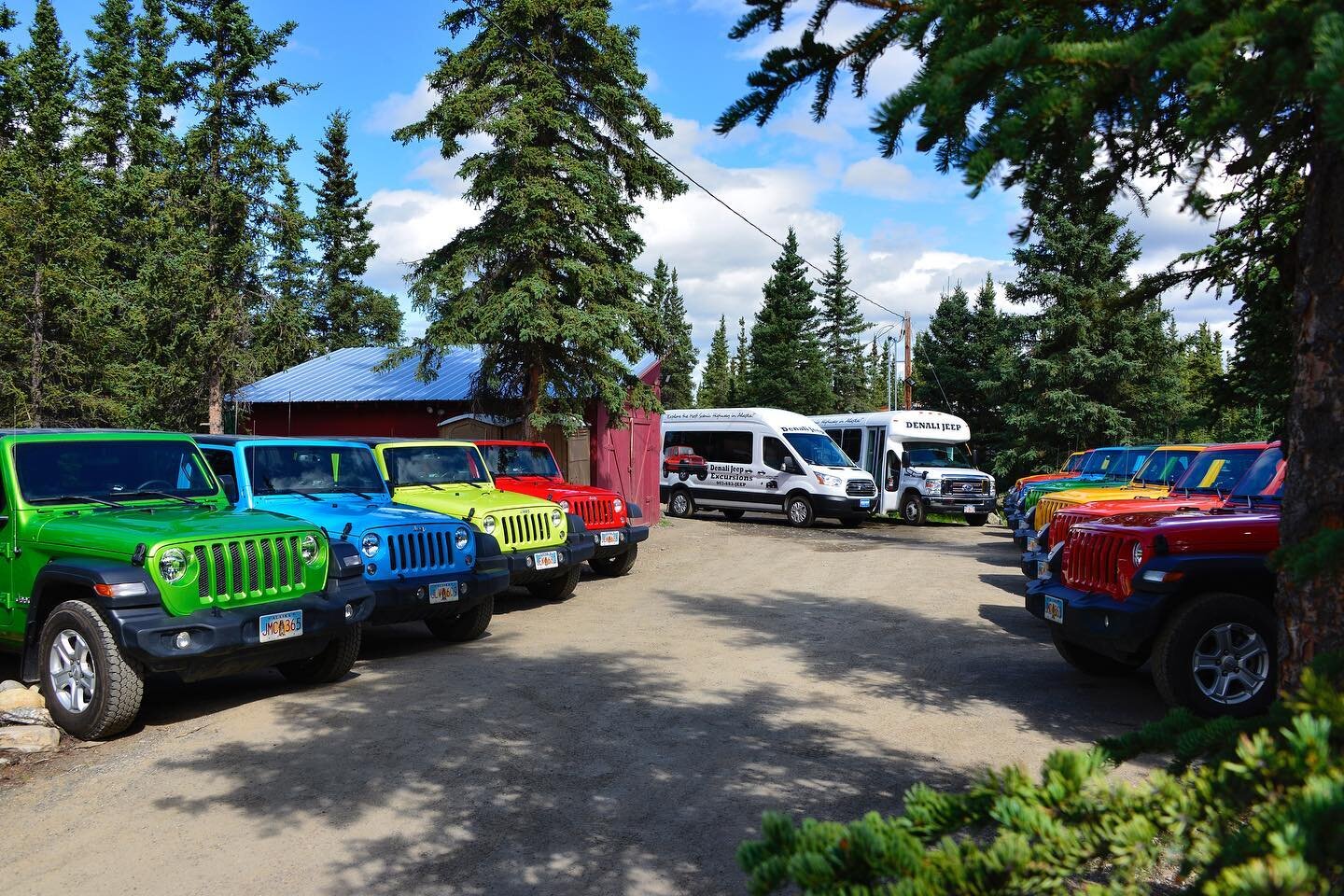 What&rsquo;s your favorite color Jeep? #denali #denalinationalpark #alaska #jeepwrangler #jeep #jeeptour #denalijeep #denalijeepexcursions #denalijeeptours #denaliexperiences #experiencedenali #denalitours #jeeprentals #denalijeeprentals #travelalask