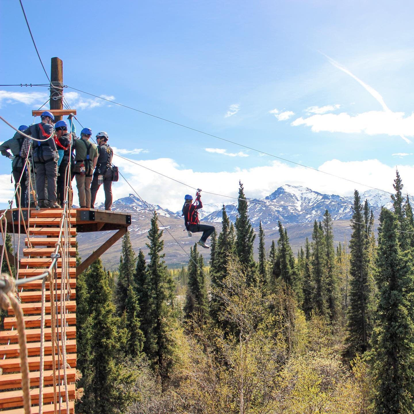 Did you know - most of our ziplines start above the trees so the views are amazing 😍