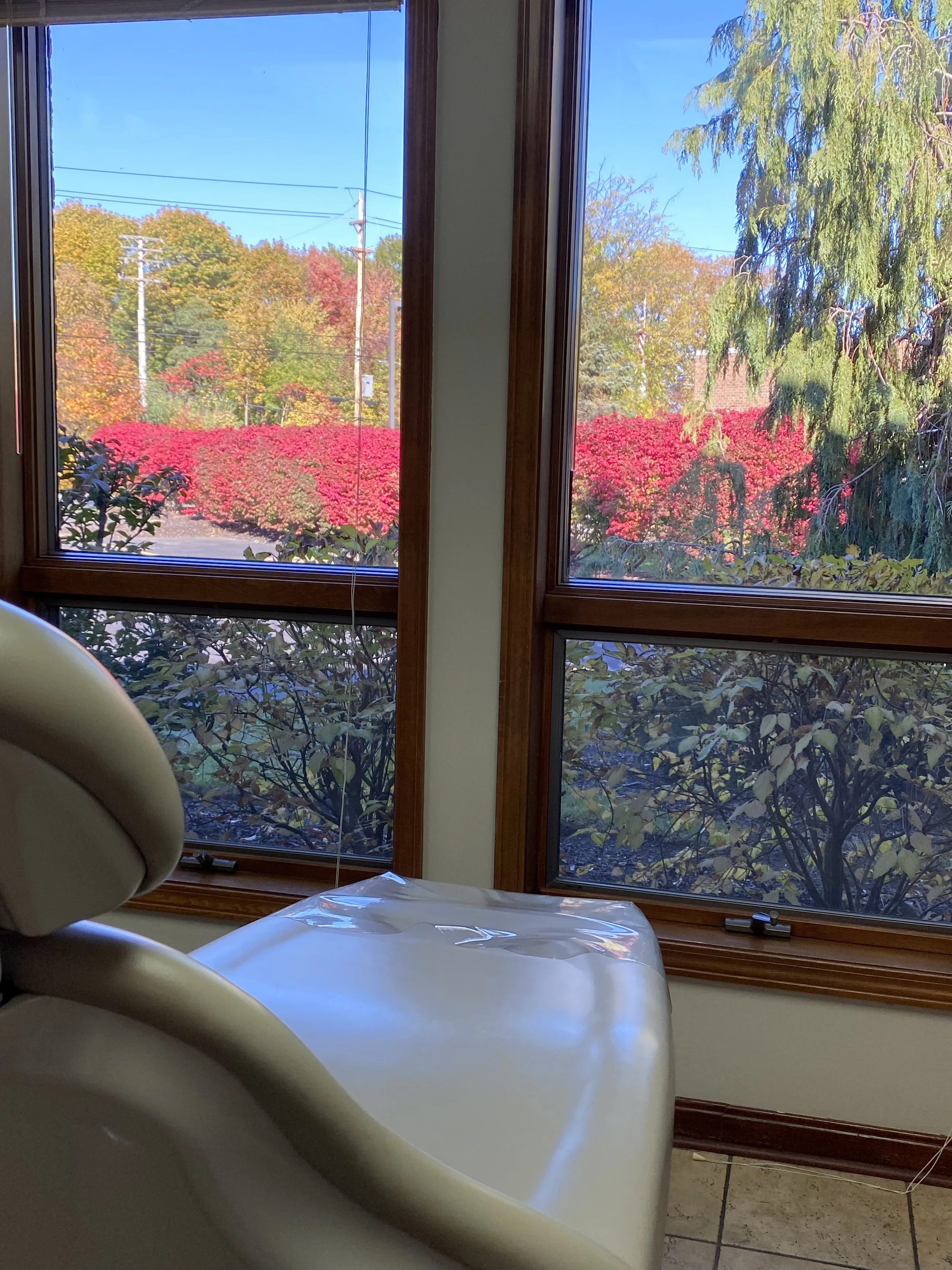 Premier Family Dental