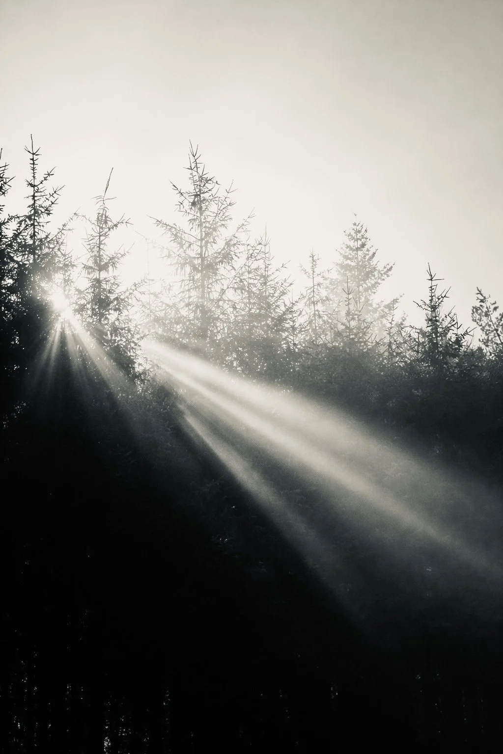 The Animist Apprenticeship