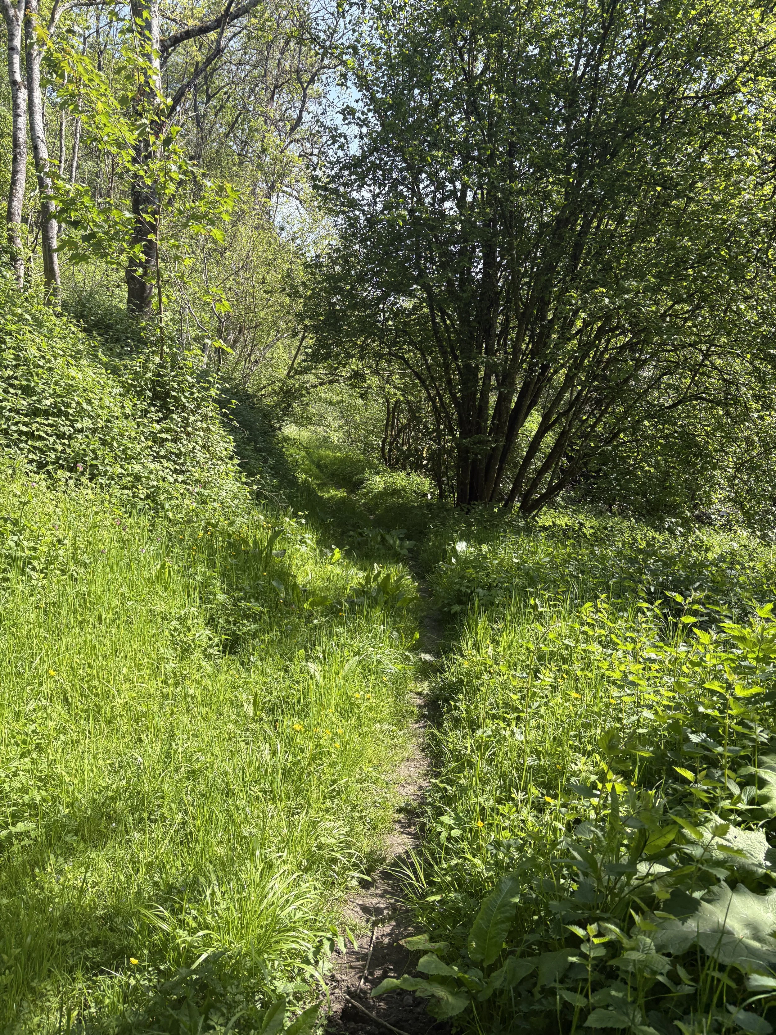 Listening for the First Track