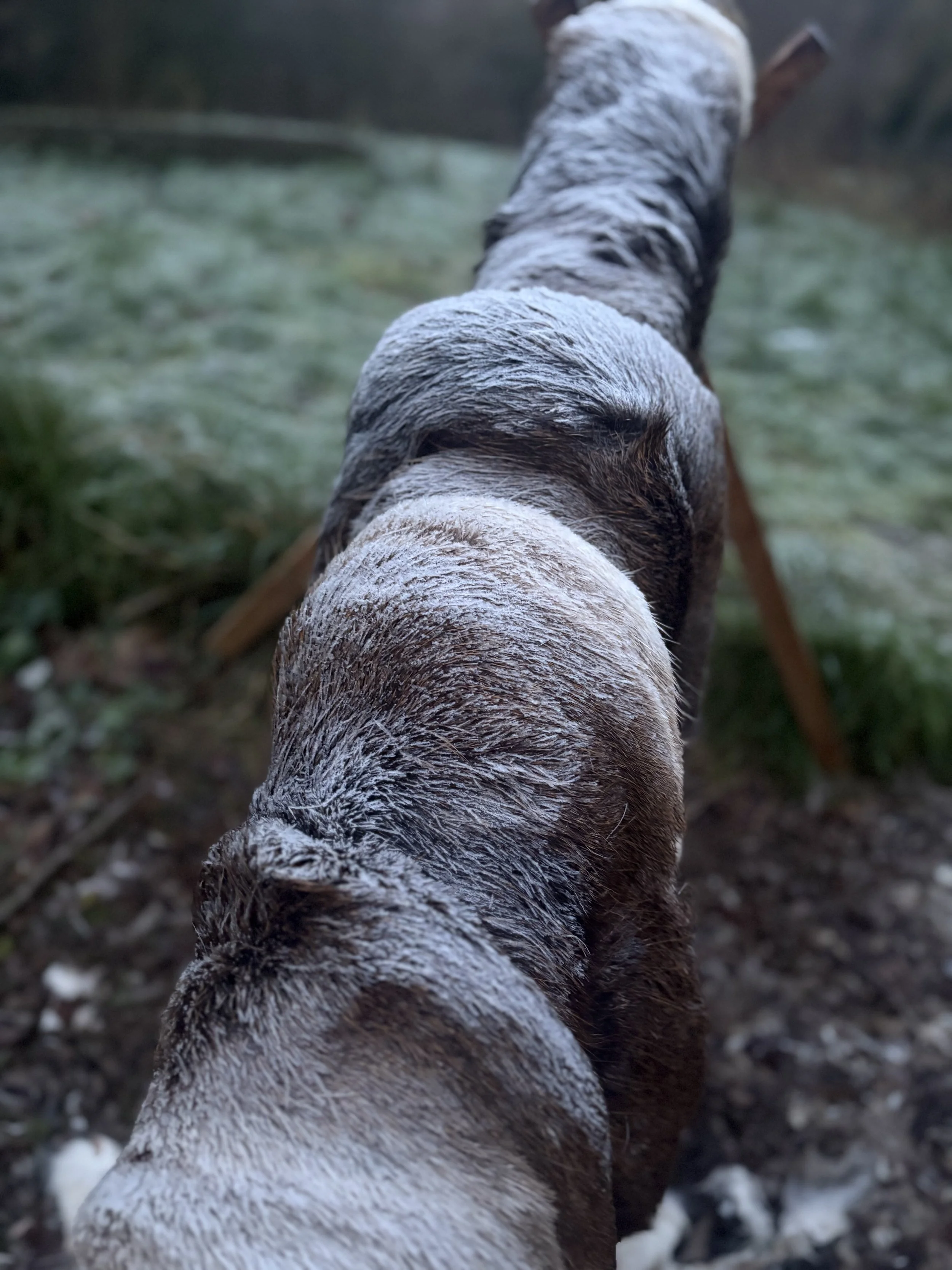 The Intelligence in your hands