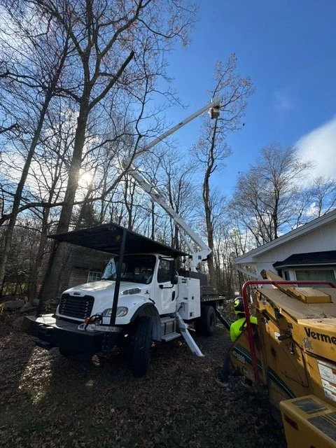 bucket backyard .jpeg
