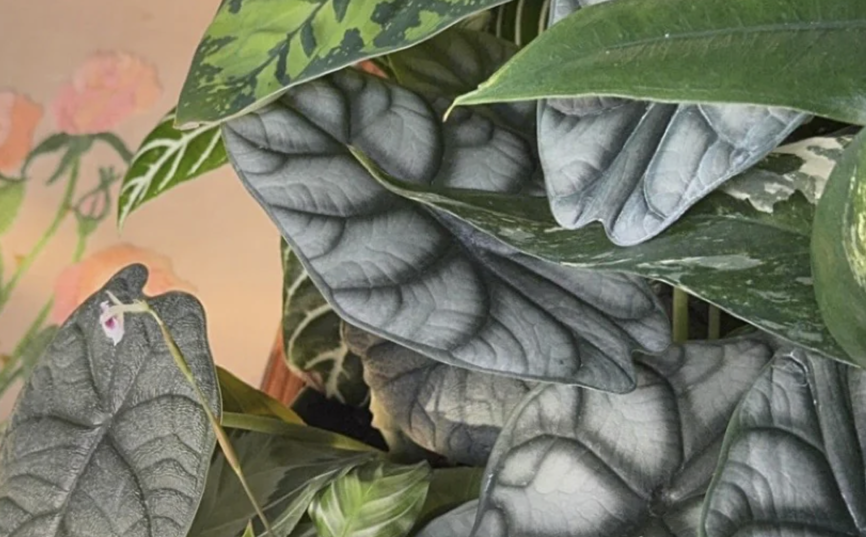 Propagation Workshop with Proppy