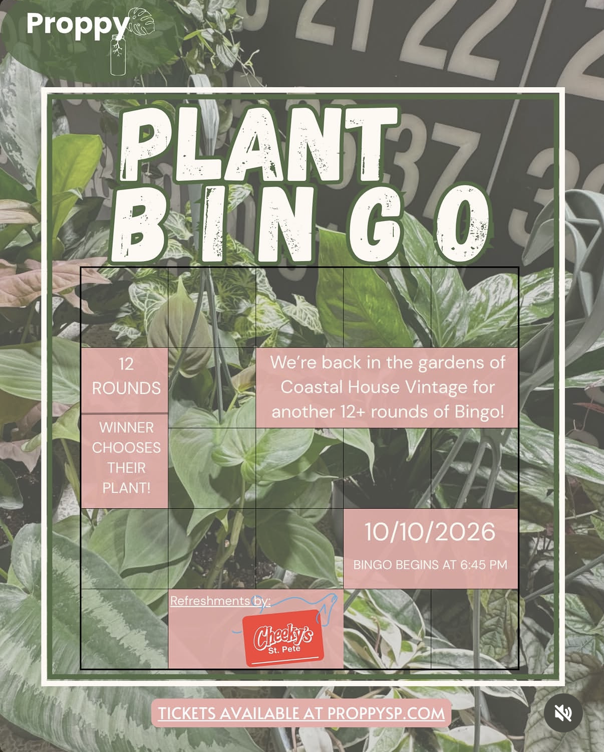Plant Bingo with Proppy &amp; Cheeky's
