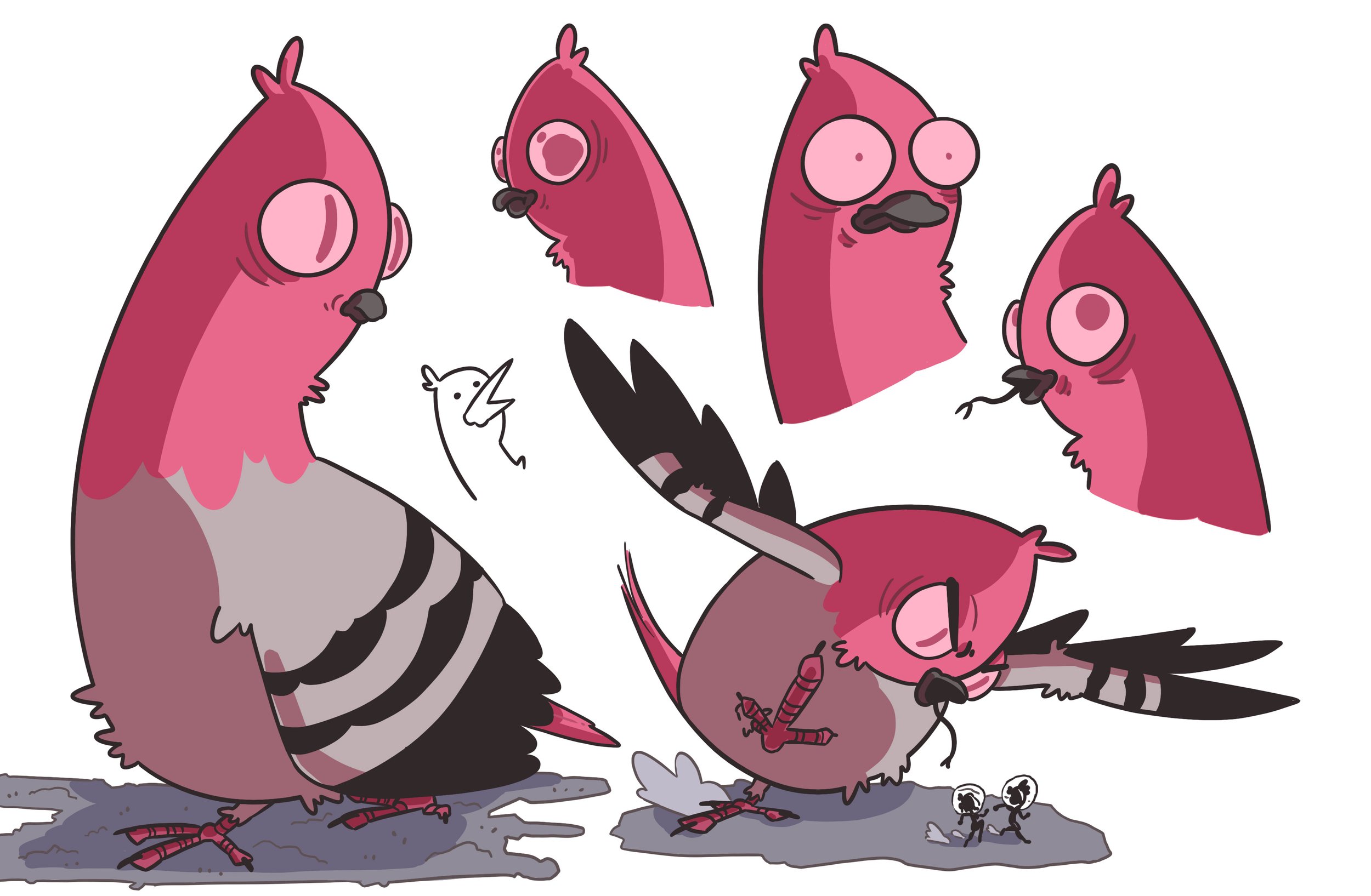 Pigeon.jpg