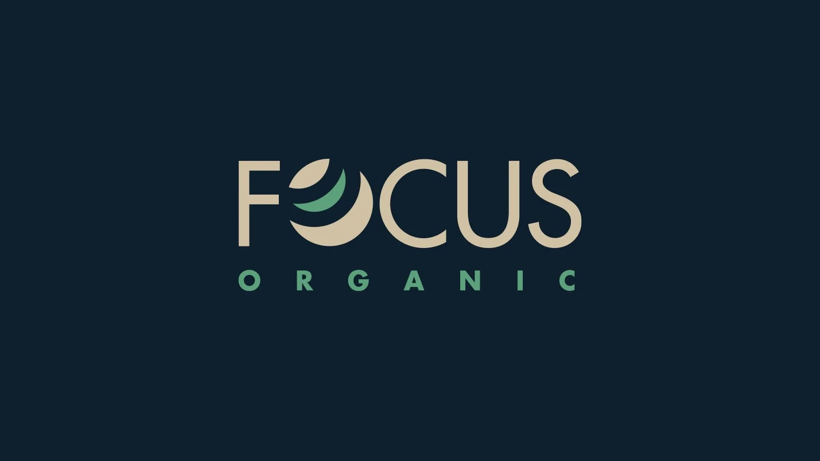 Focus.jpg