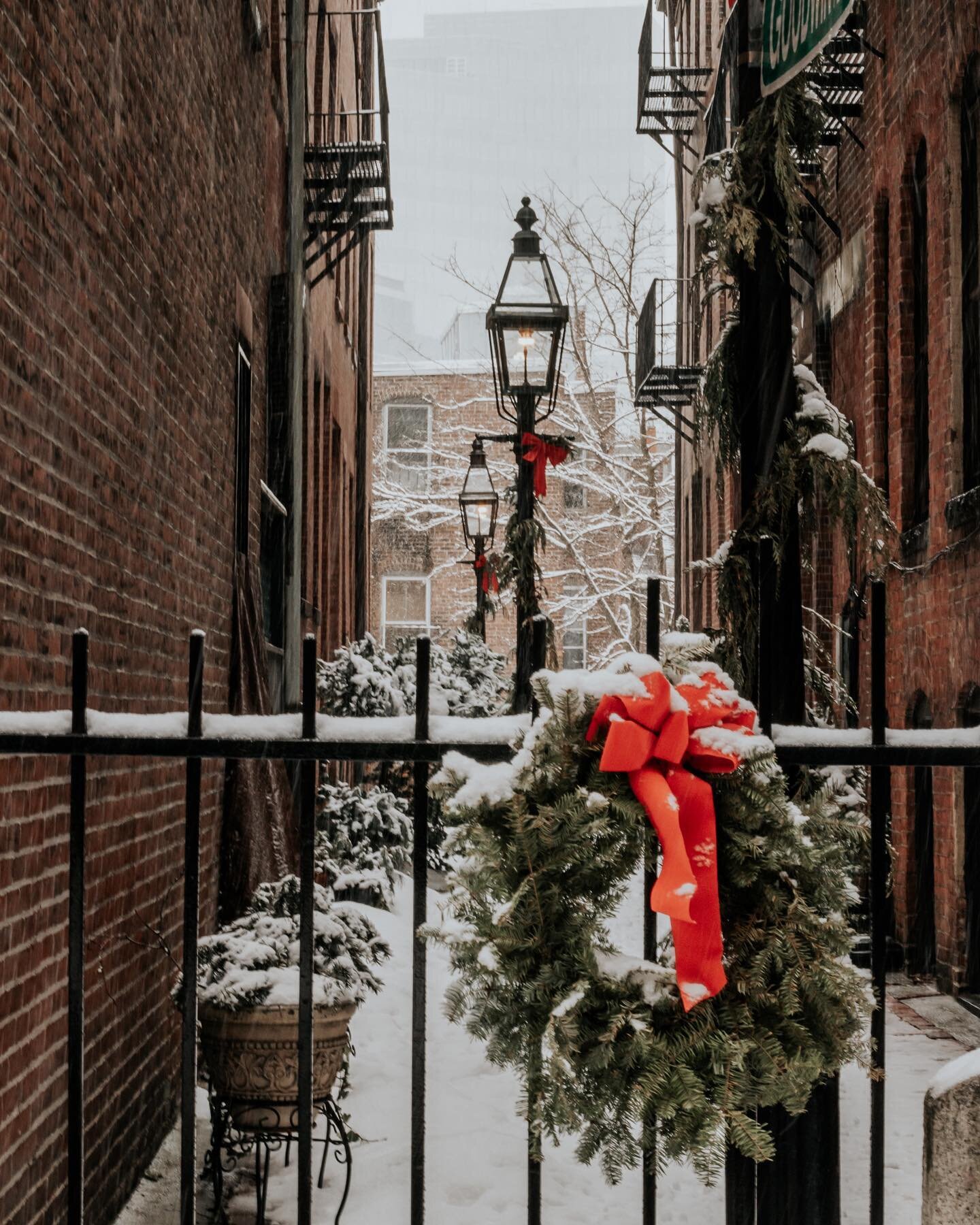 In Beacon Hill, even the alleyways get dressed up 🎁 #bostonbrunchguide