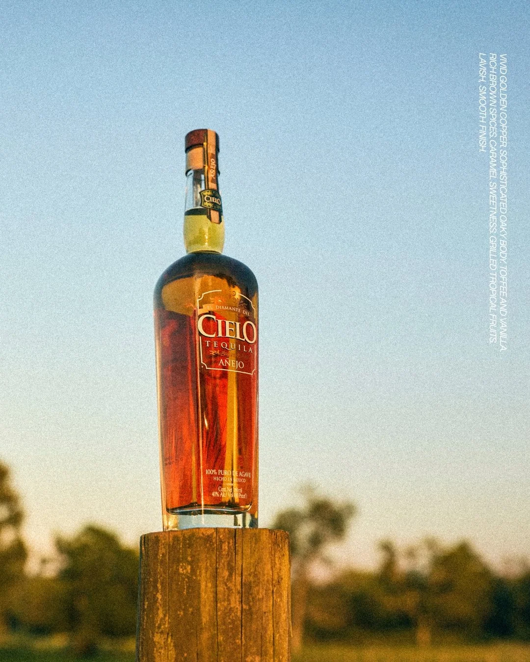 Cielo A&ntilde;ejo Tequila. Golden, smooth, with rich toffee and vanilla. Aged to perfection and ready to be enjoyed neat or with a simple twist