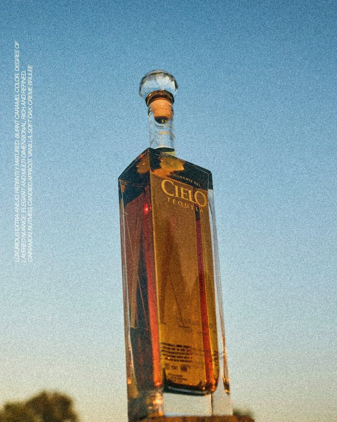 Crafted from 100% blue weber agave and aged 10 years in white oak barrels. Cielo X is a rare tequila that carries the depth of time, the richness of tradition, and a flavor worth savoring in every sip.