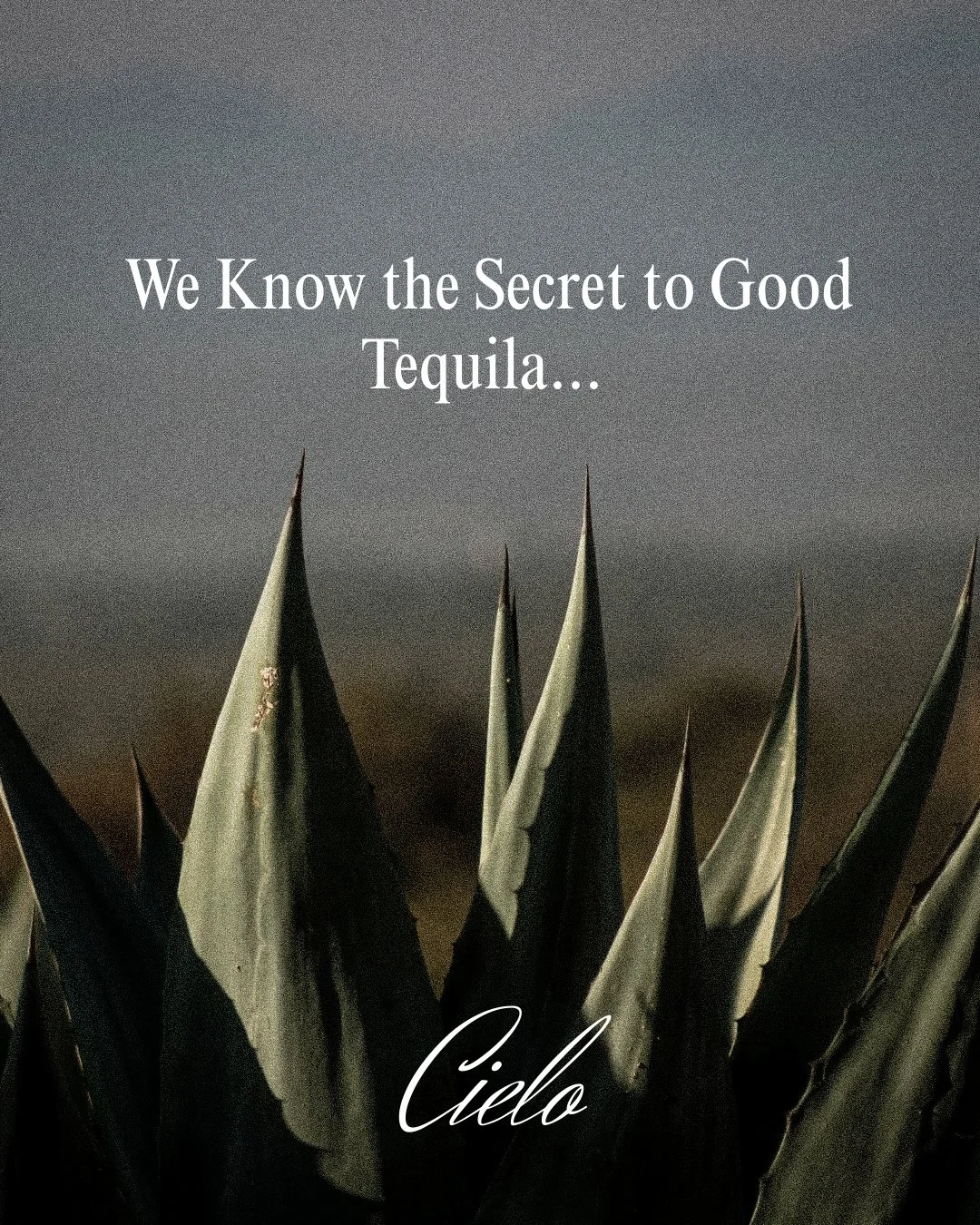 We know the secret to good tequila. It&rsquo;s in the details.
.
.
.
#TequilaLovers #CraftTequila #LuxurySpirits #ArturoFuentes #SmallBatchTequila #PremiumTequila