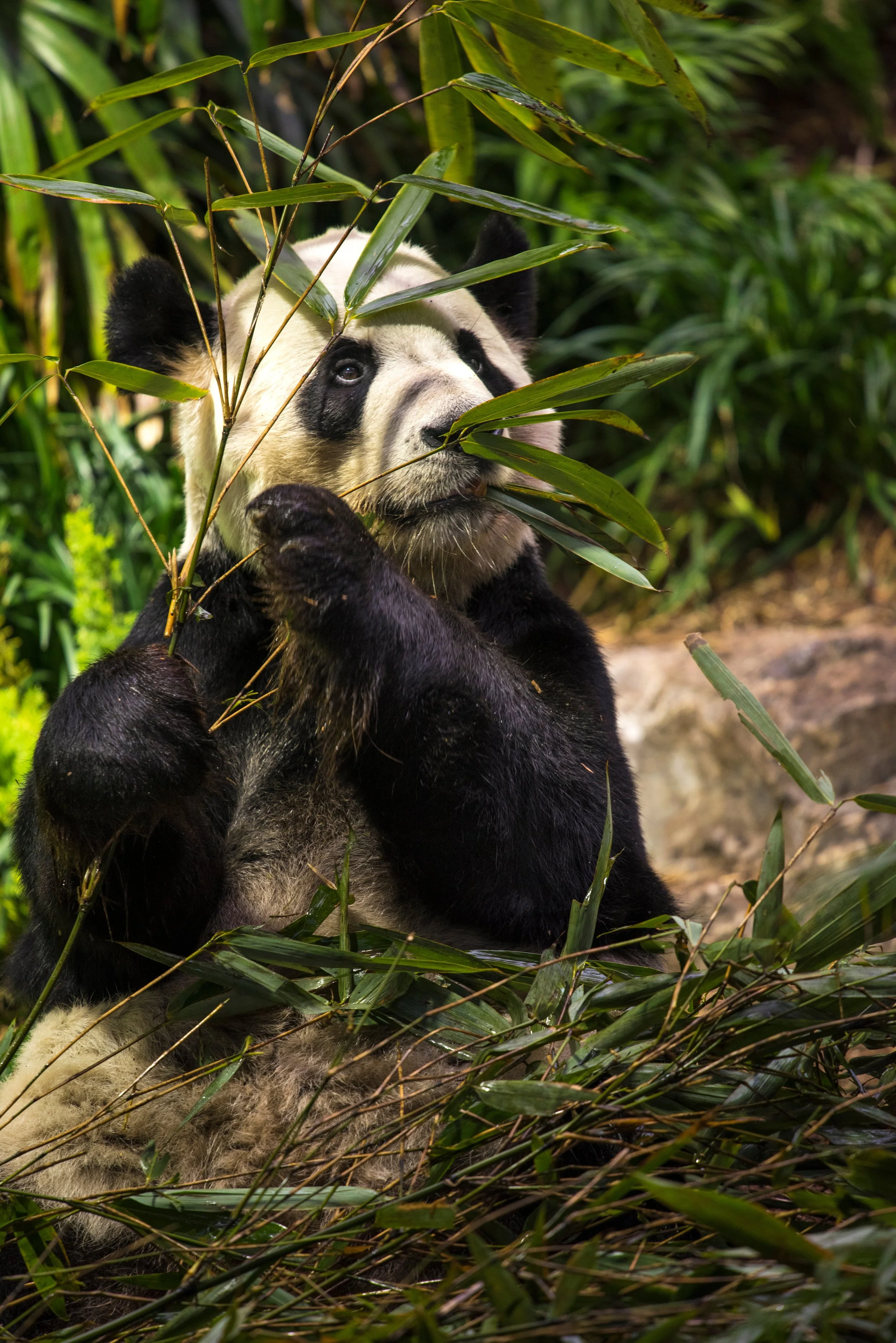AdobeStock_305327906.jpeg